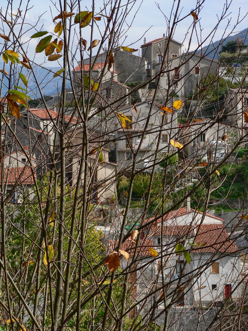 Rione Castello tra i rami (Trecchina, PZ)