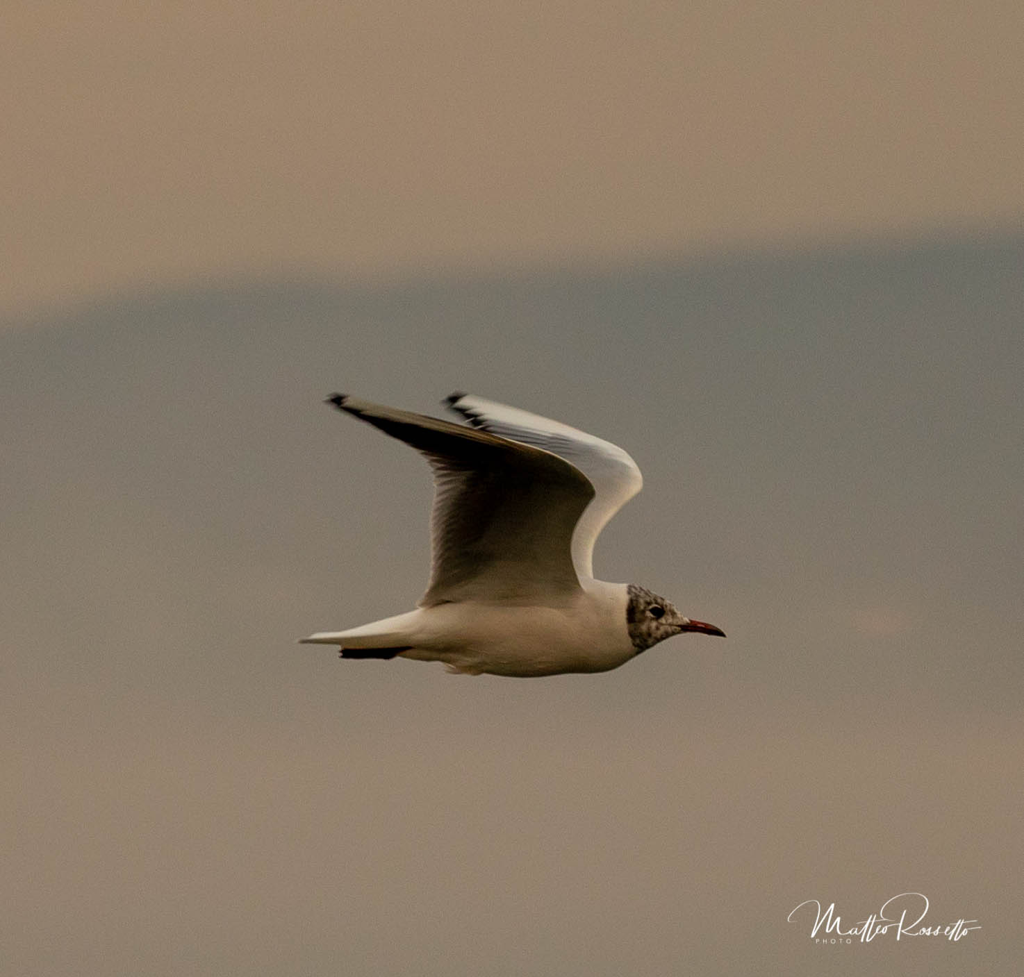 volo