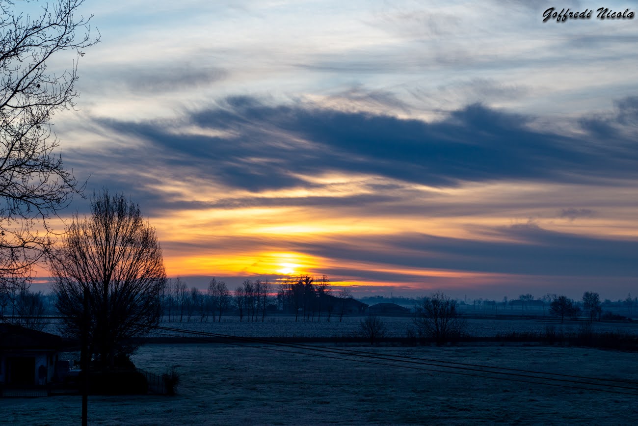 Alba