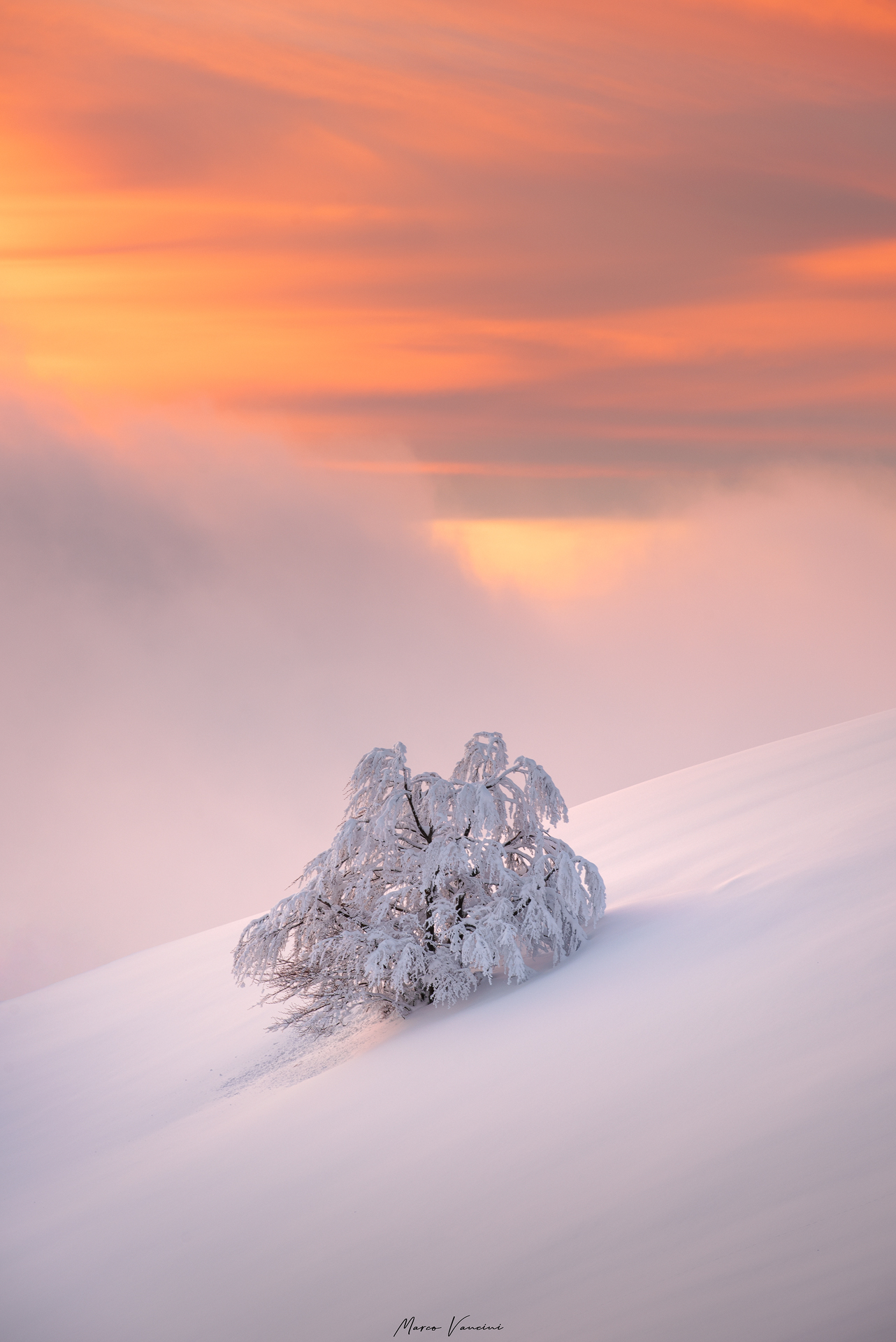 the colors of winter