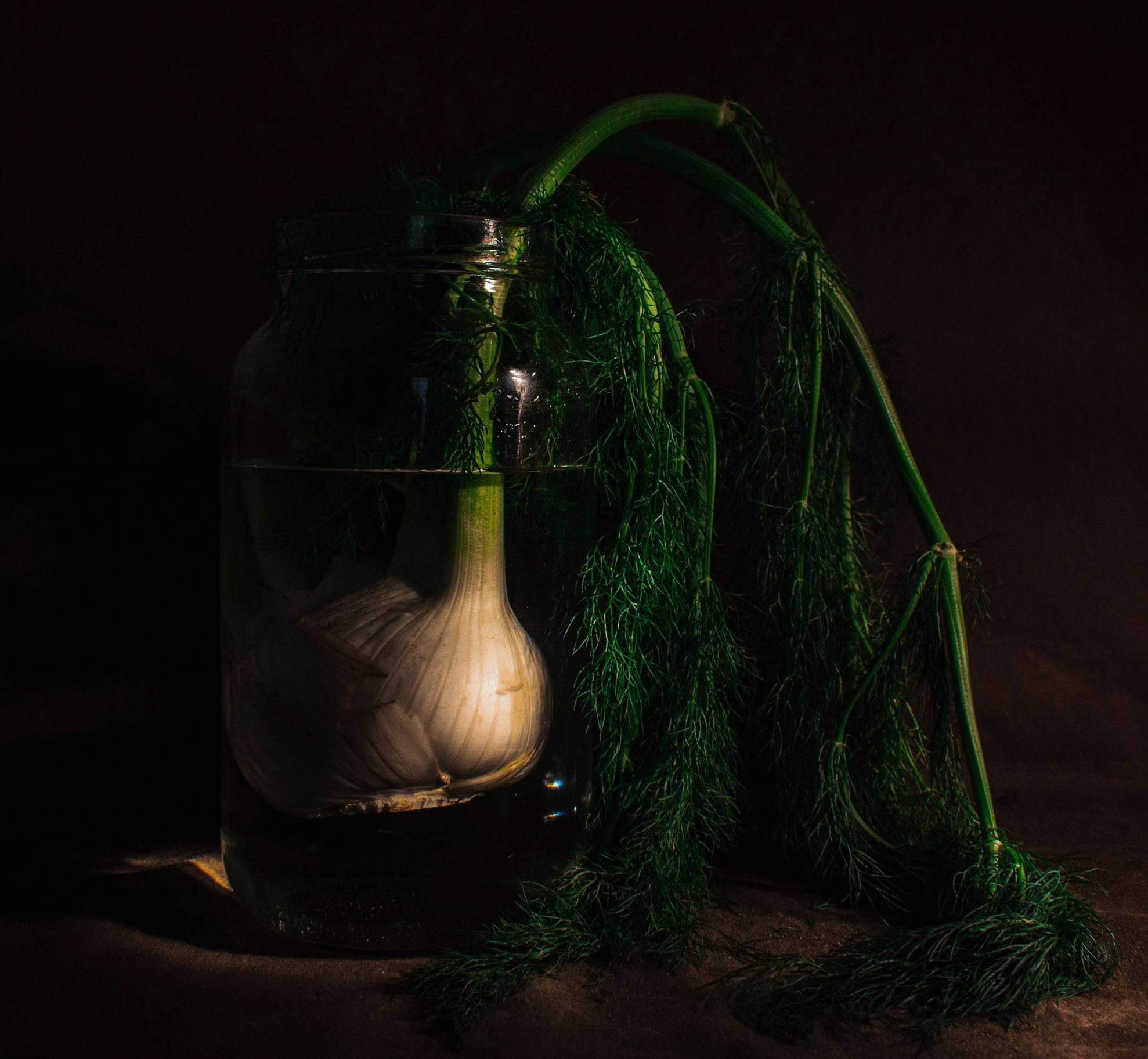 Untitled Photo