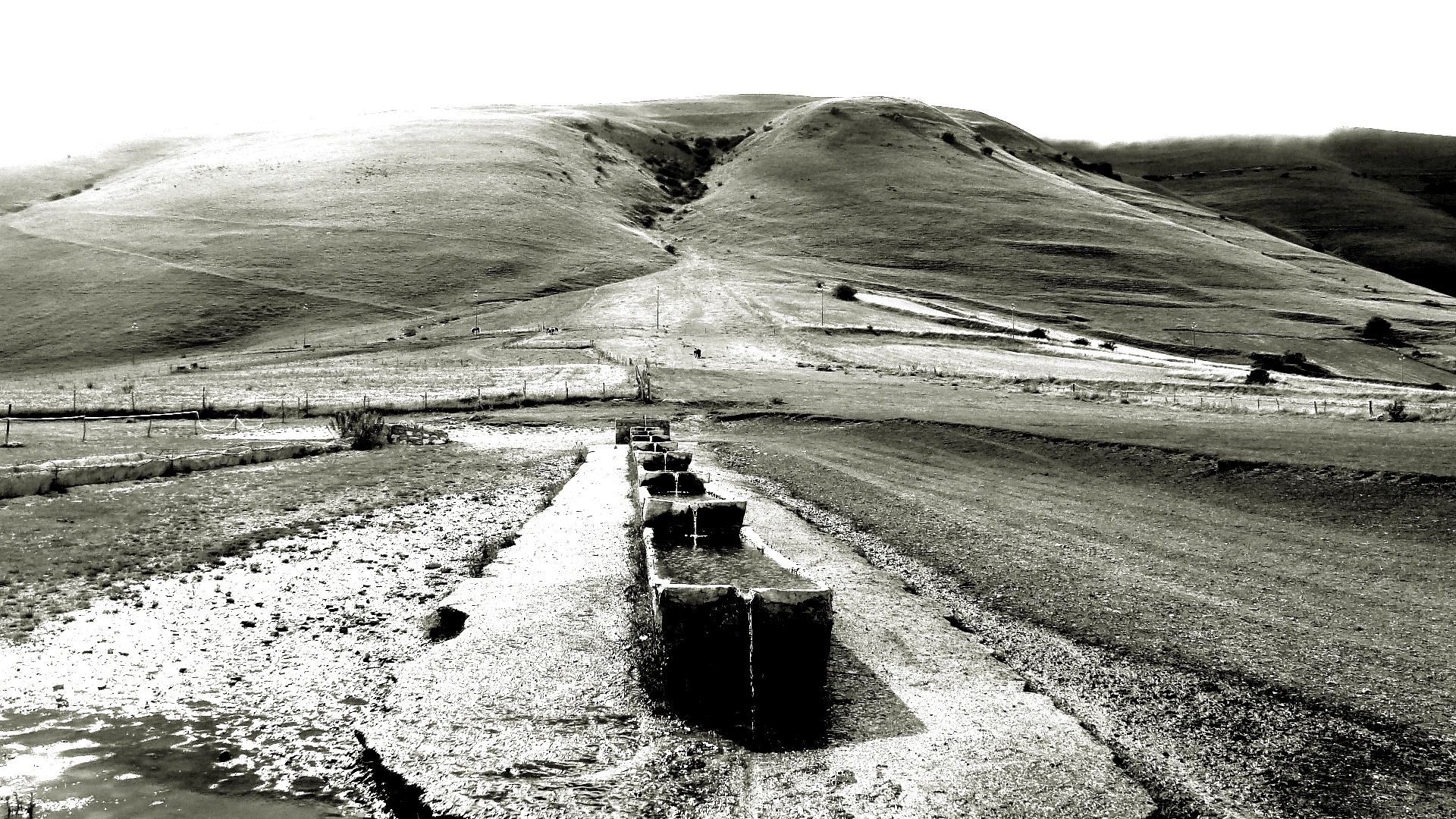 Visione anomala di Castelluccio: l'abbeveratoio