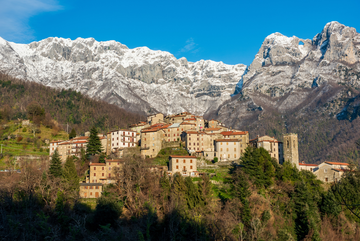 Pruno Alta Versilia
