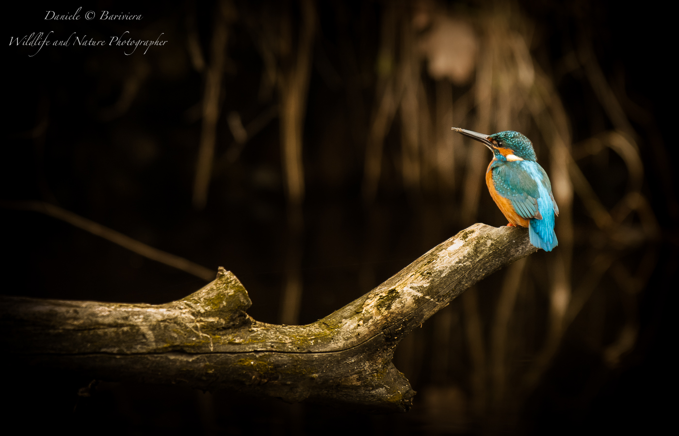 Pausa di riflessione....