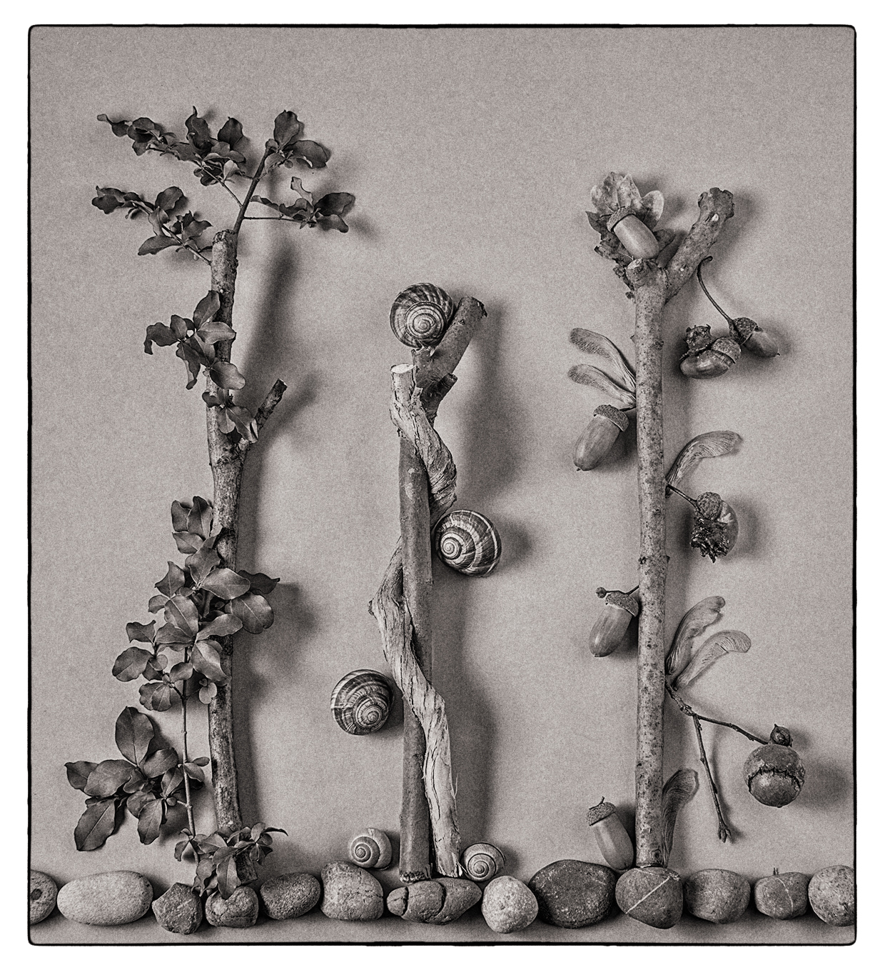 Unlikely garden