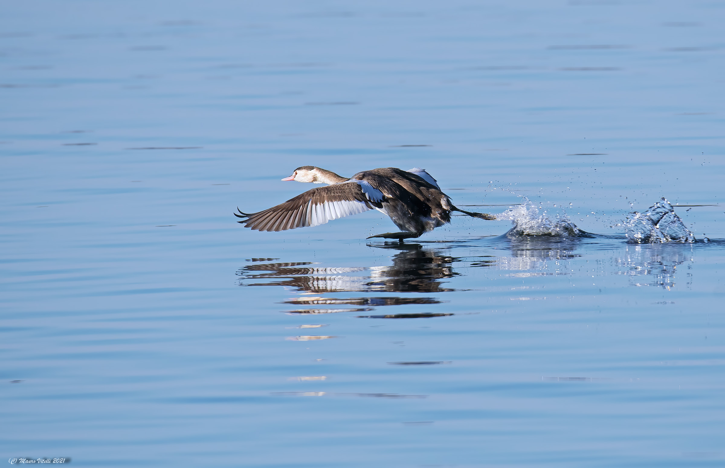 Major value... takeoff