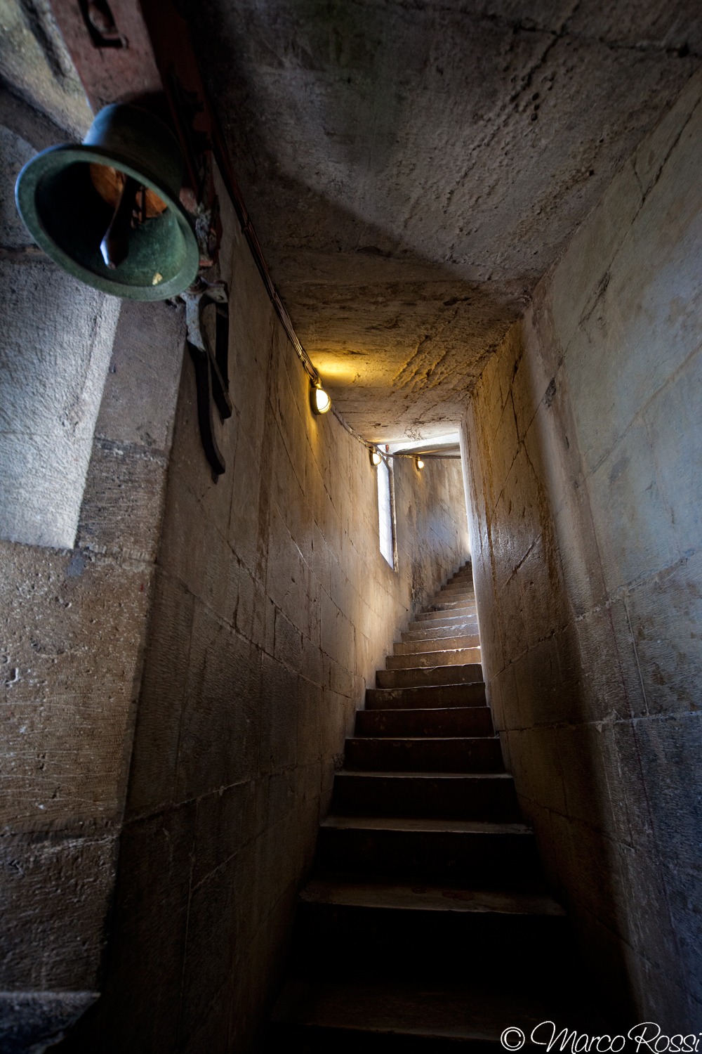 Life is made to scale