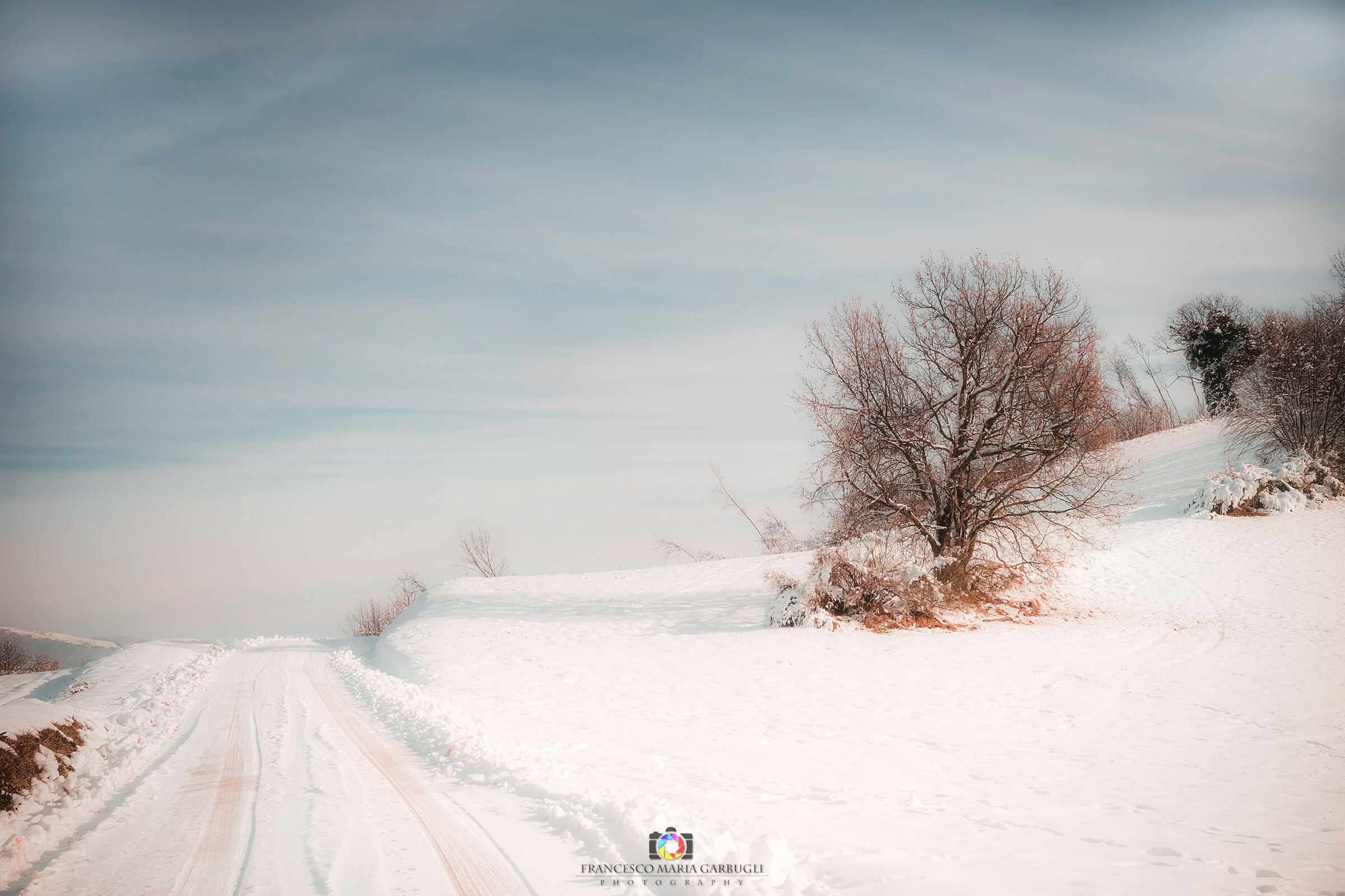 La delicatezza della prima neve