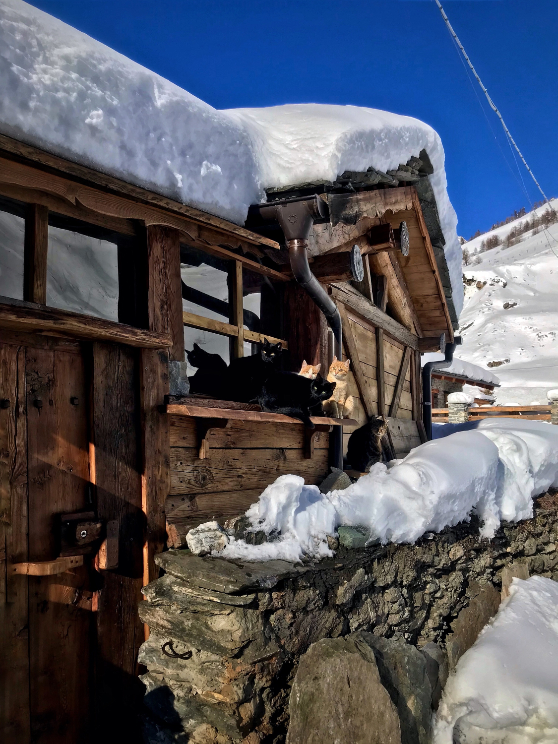 Dieci occhietti curiosi