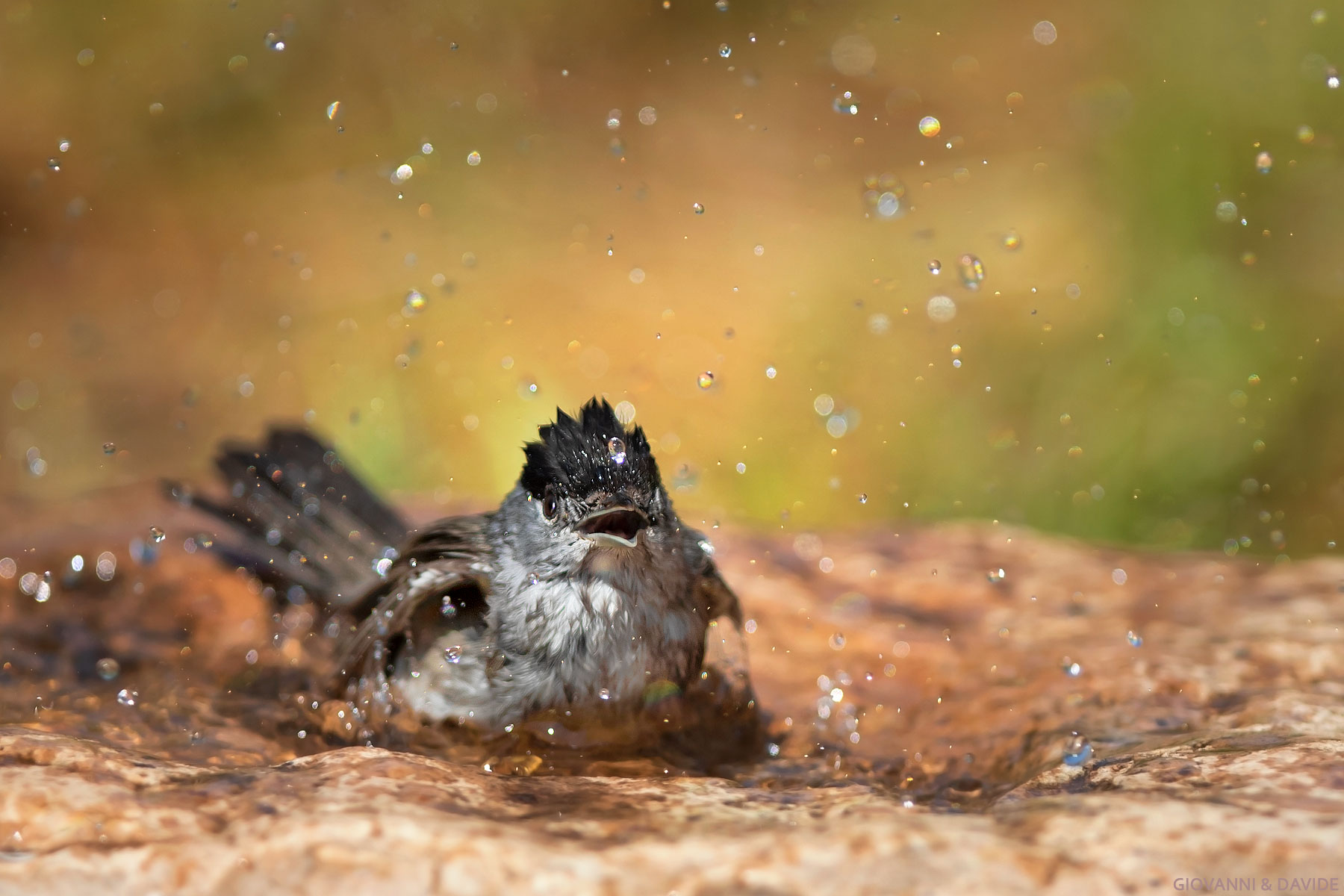 ...Un'esplosione di gioia...