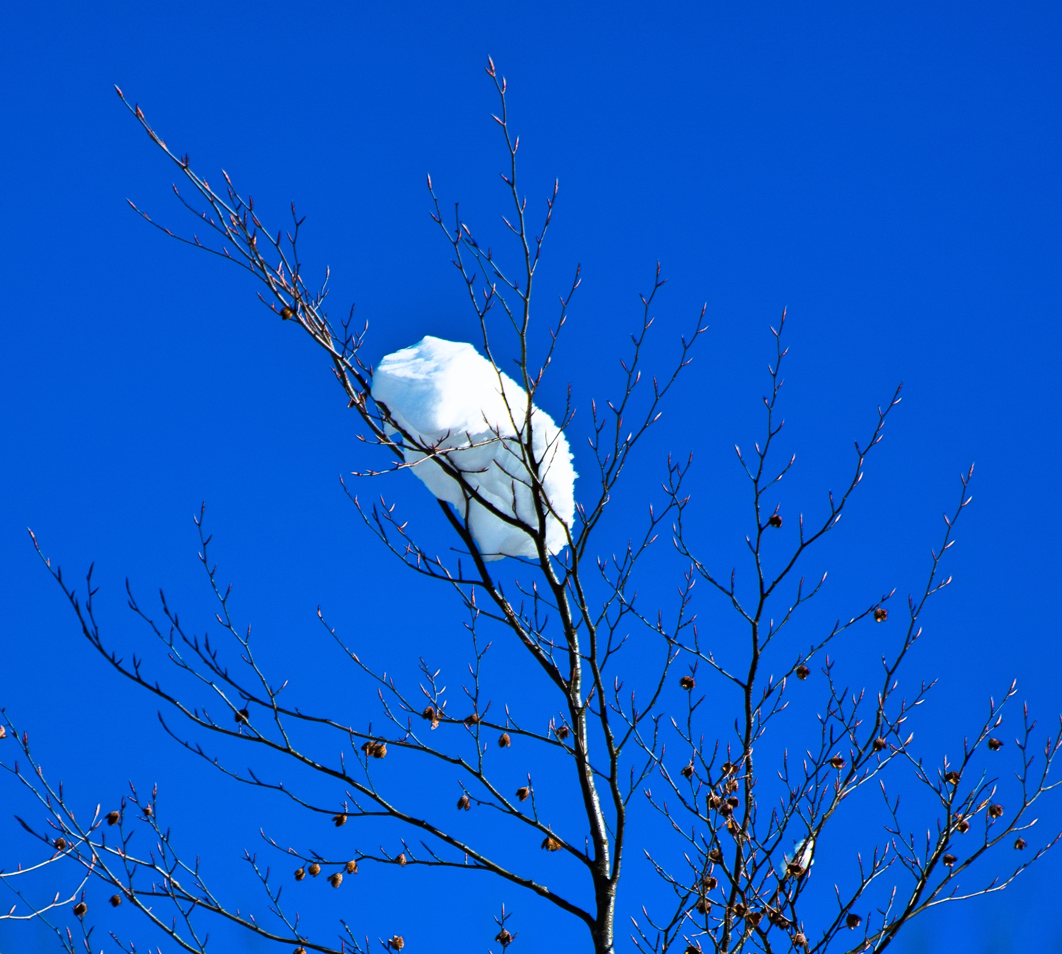 Untitled Photo