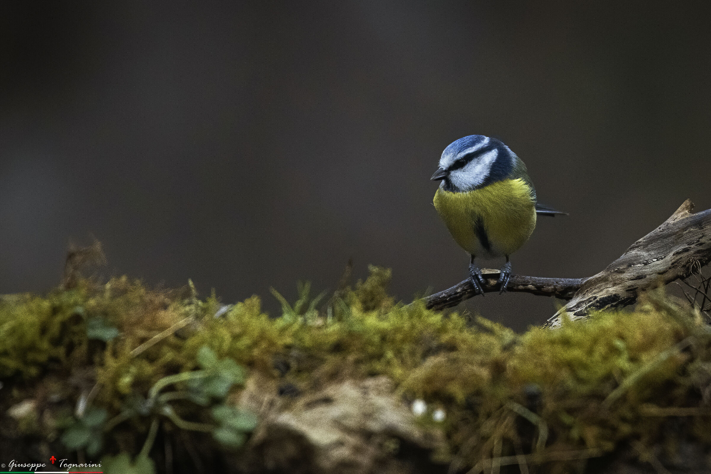 immersa nei pensieri