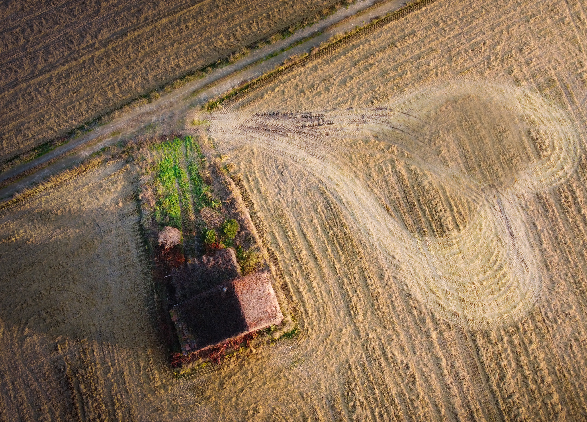 Il cuore della mia città