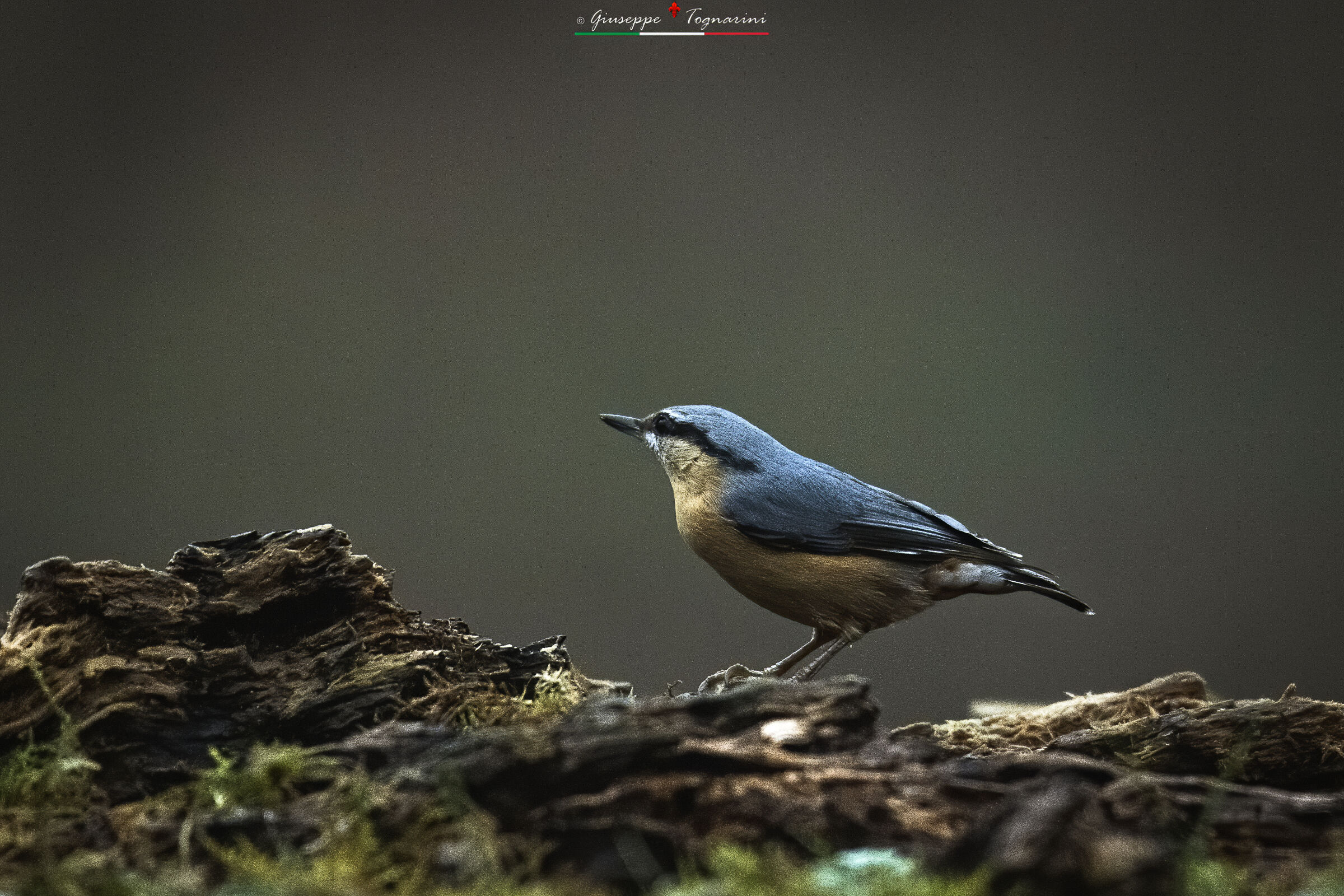 col becco all'in sù