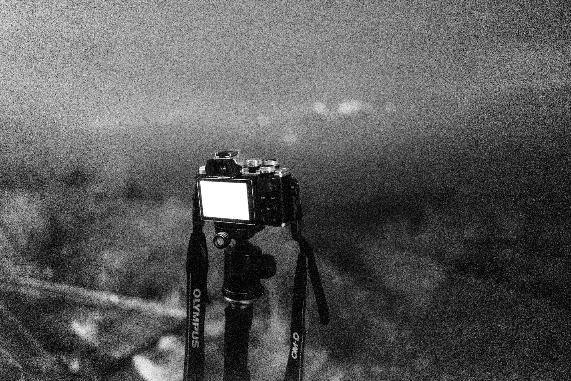 Un milione seicentomila ISO