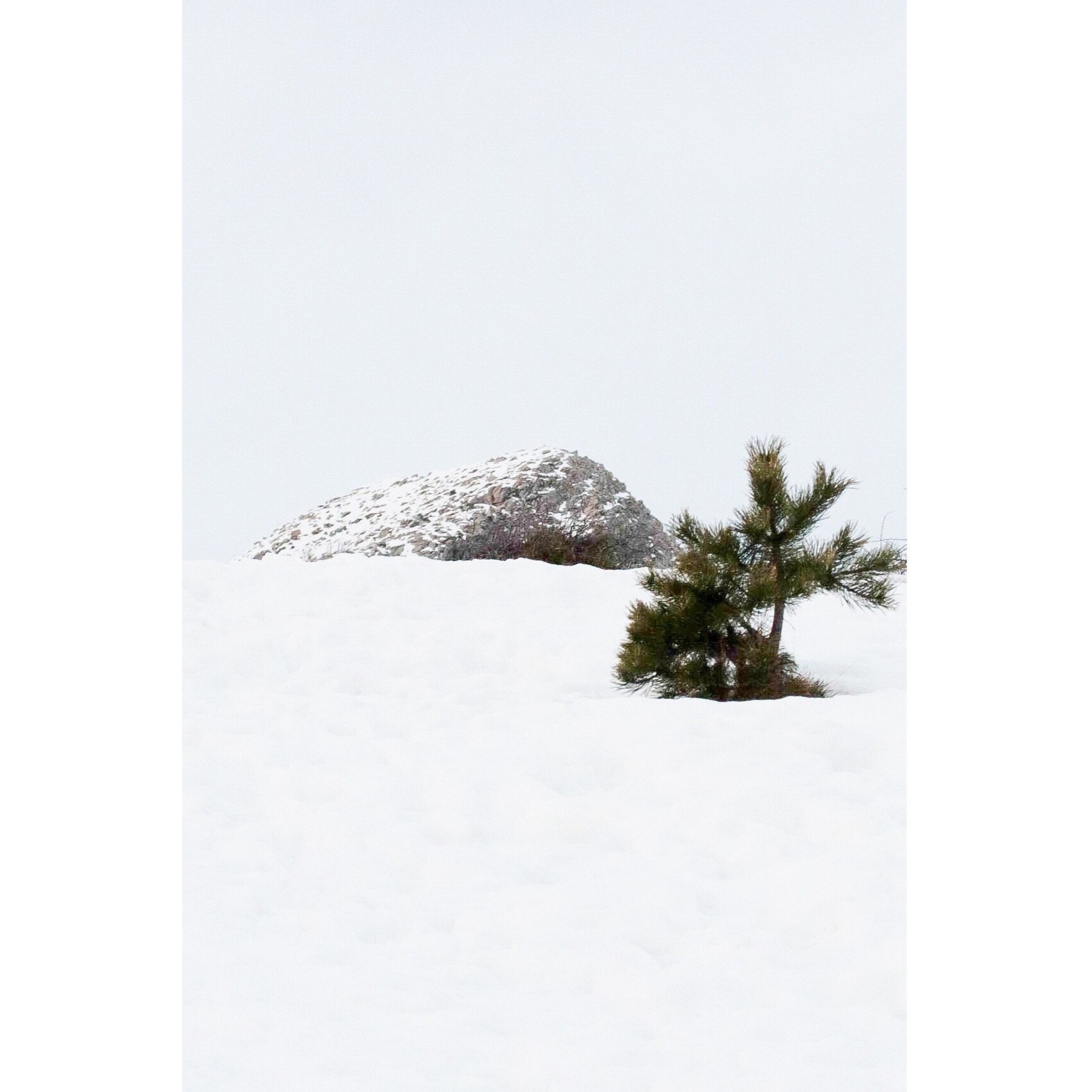 Untitled Photo