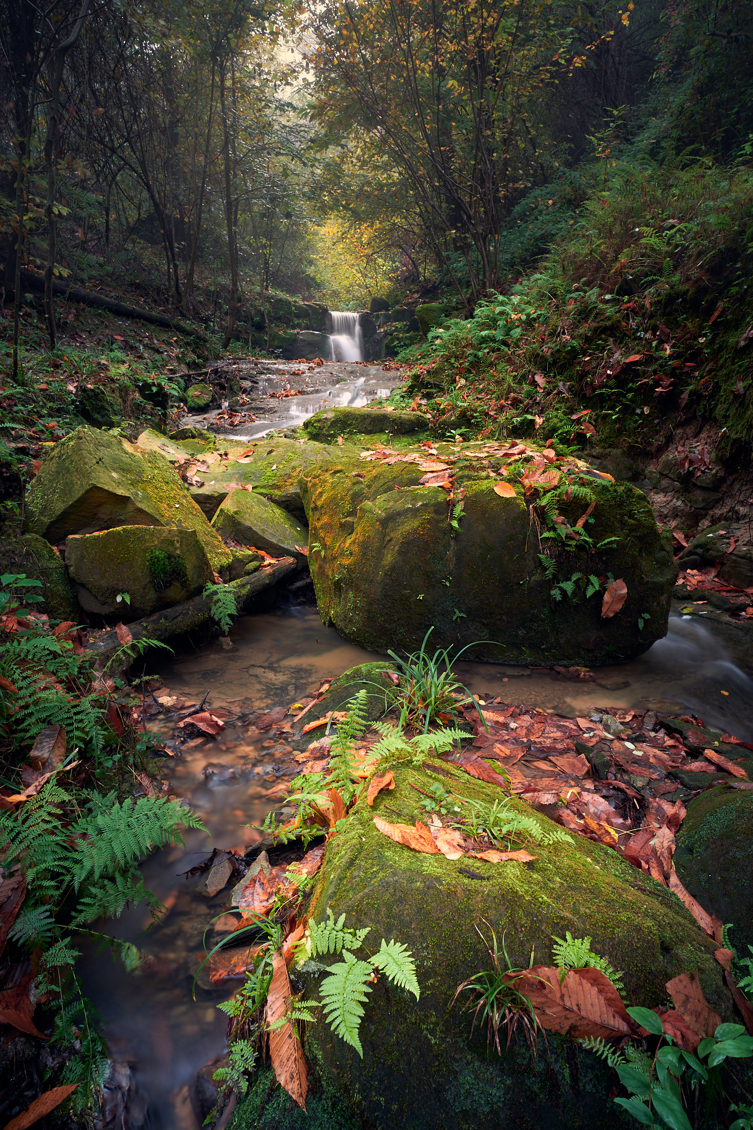 Boudard Bridge, Brianza