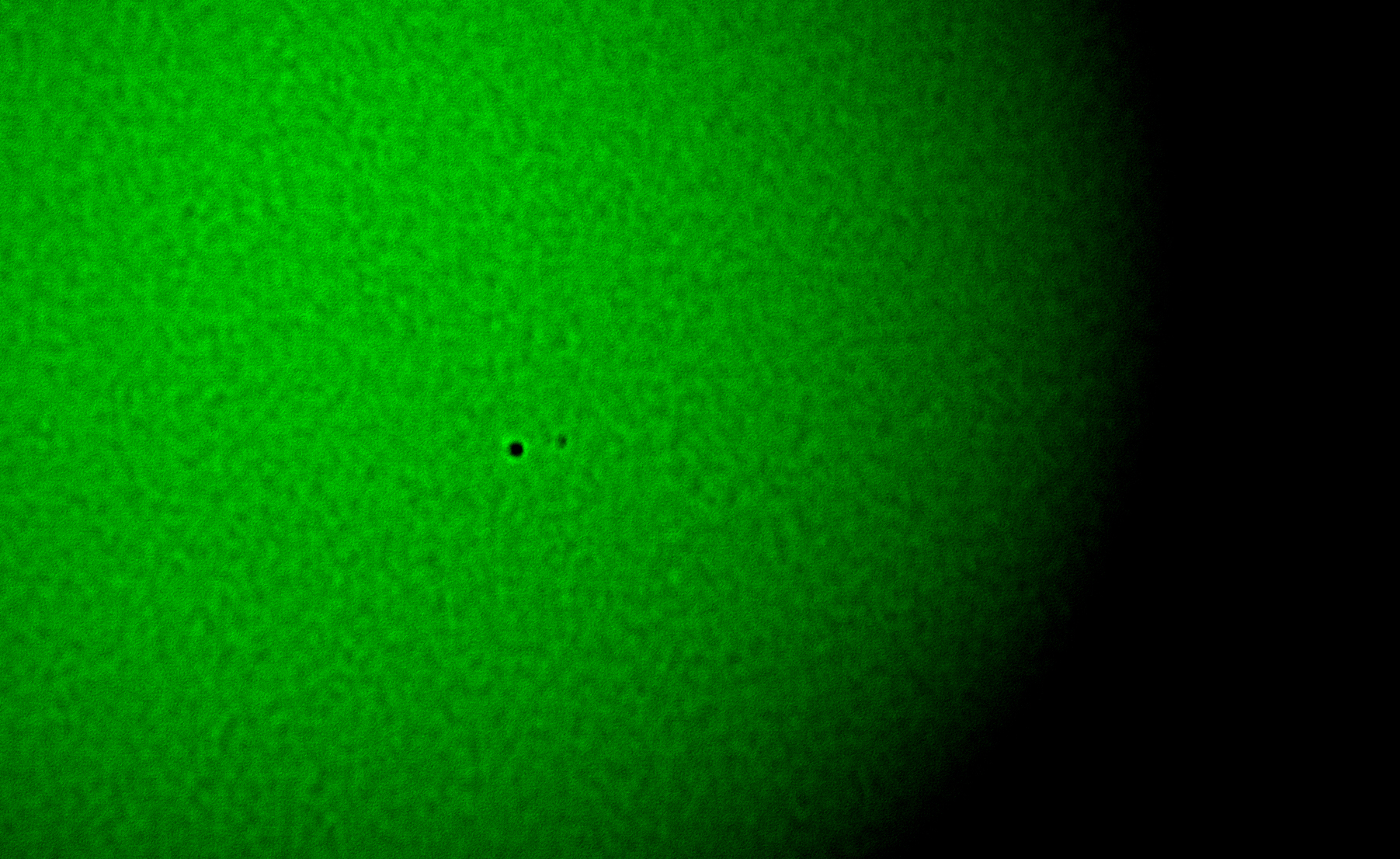 Sun example of small sunspot