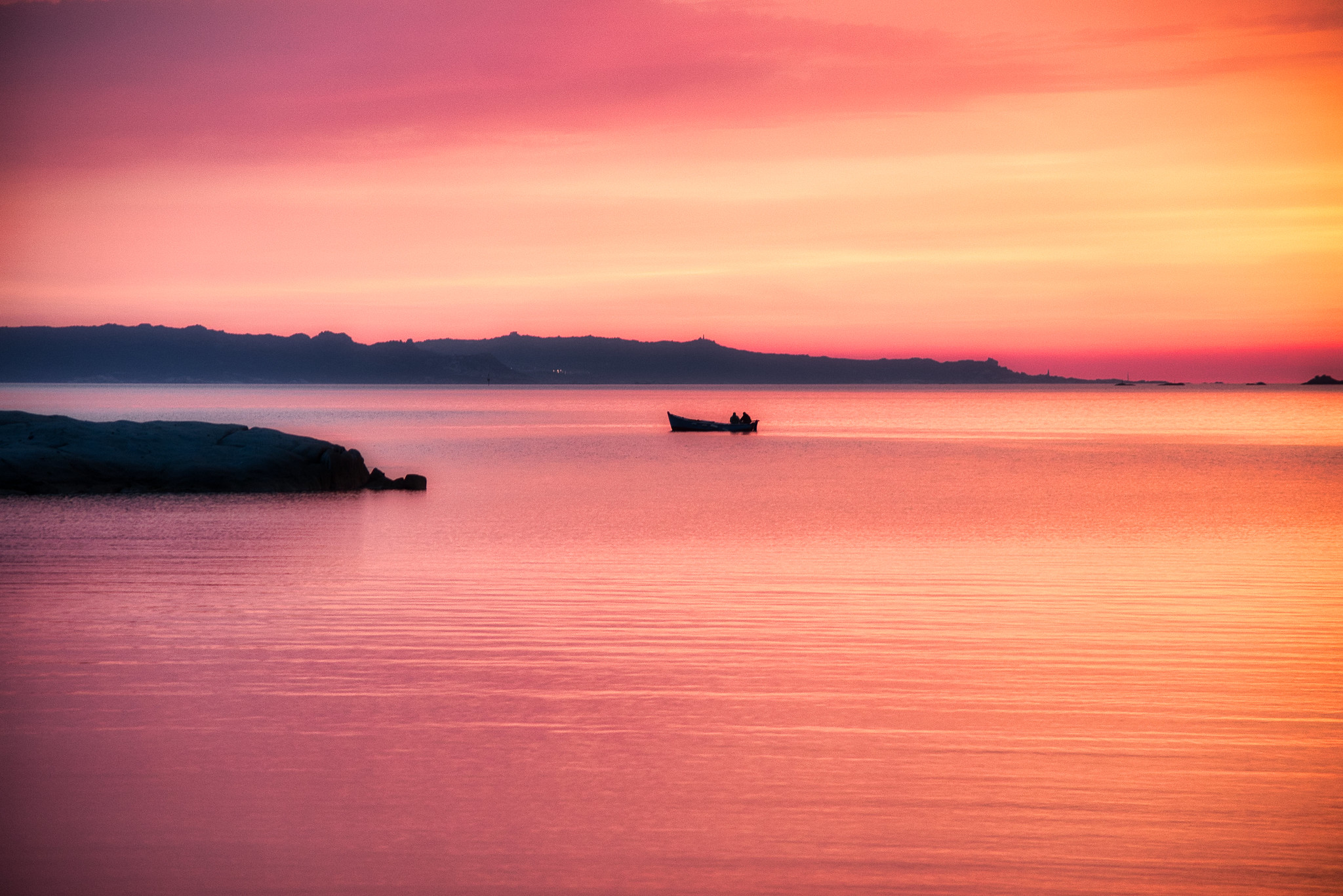a little bit of color on these gray days in winter