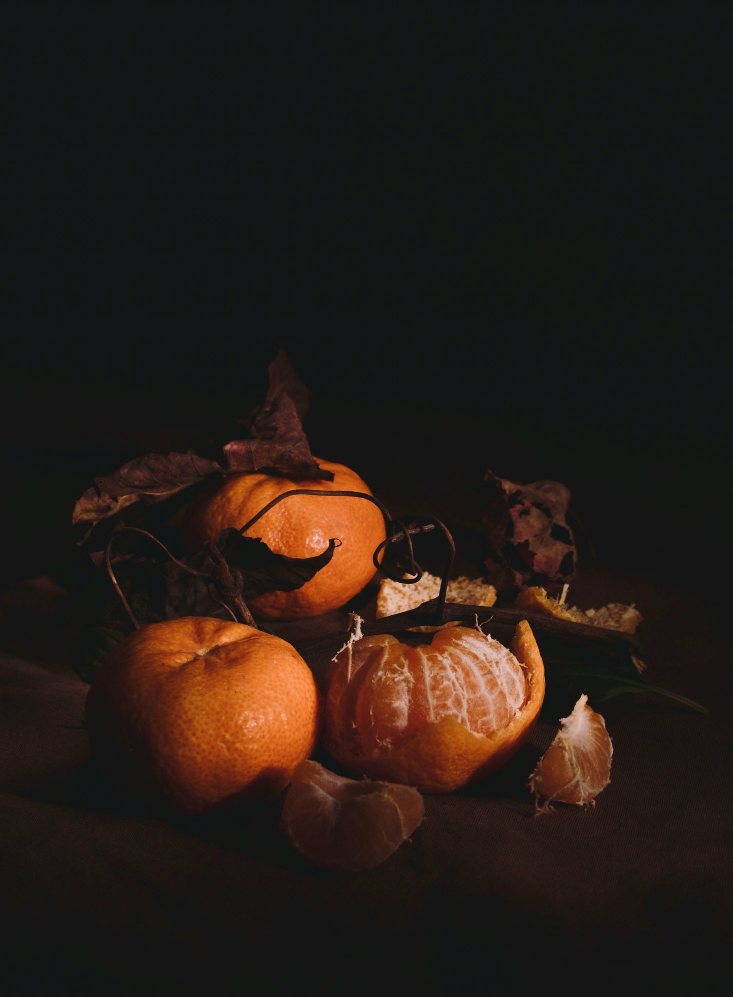 Untitled Photo