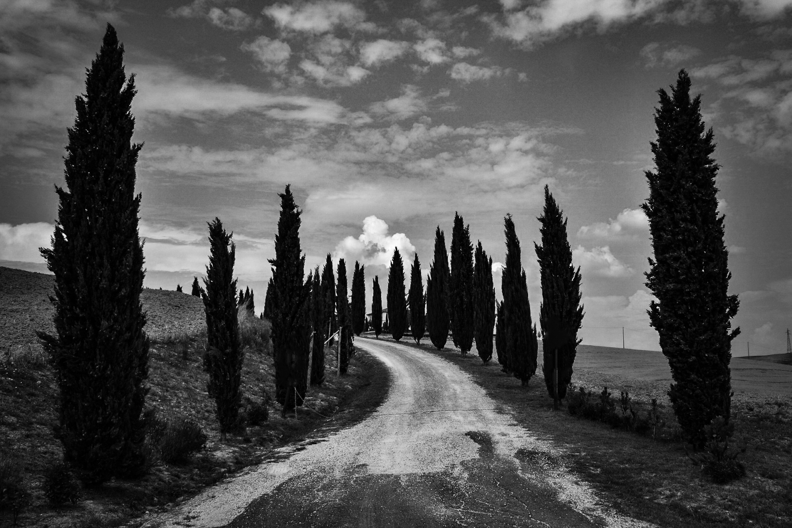Val d'Orcia (Siena)