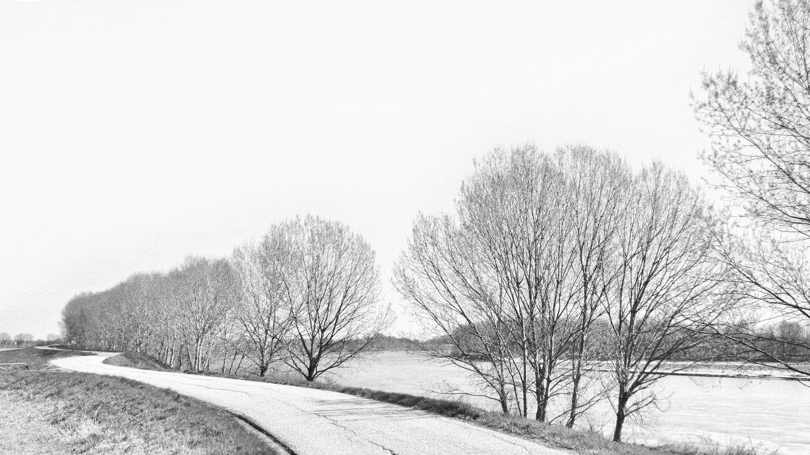 Embankment of the Po