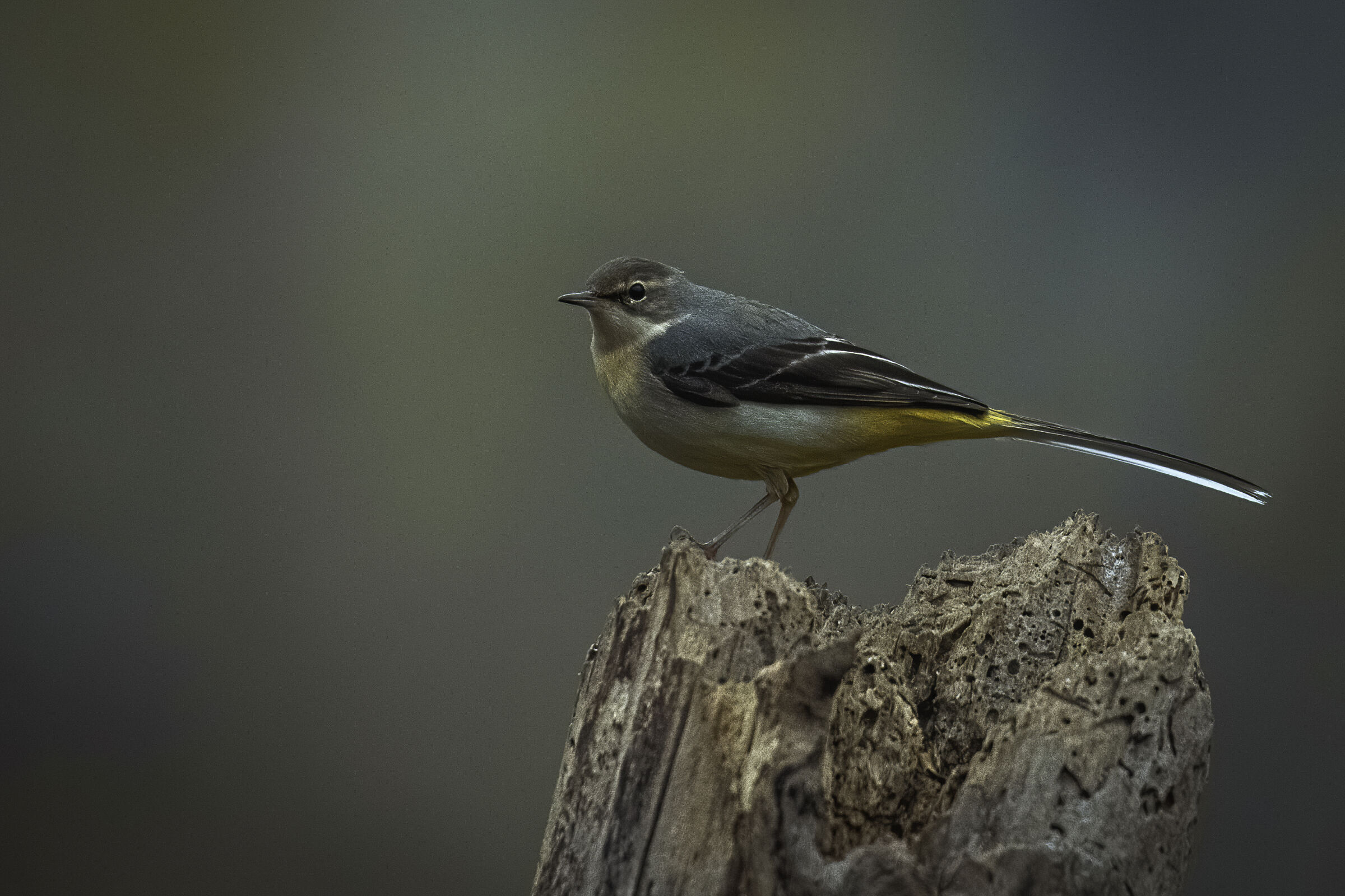 La ballerina gialla n.2