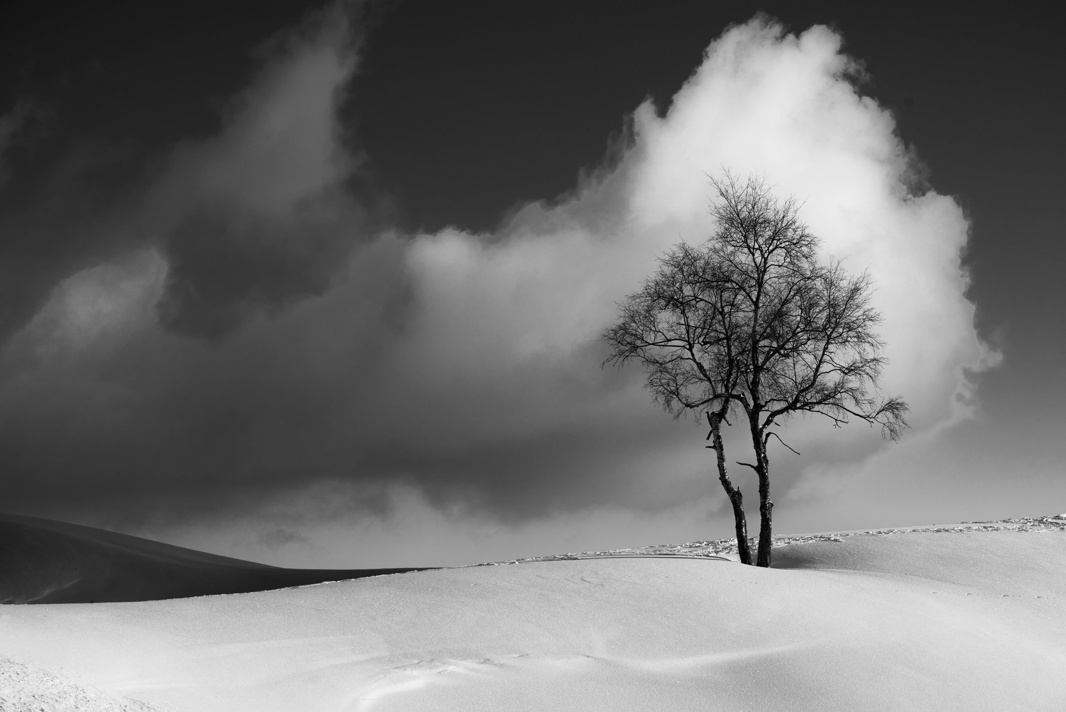 due gambe di legno...una nuvola come cappello