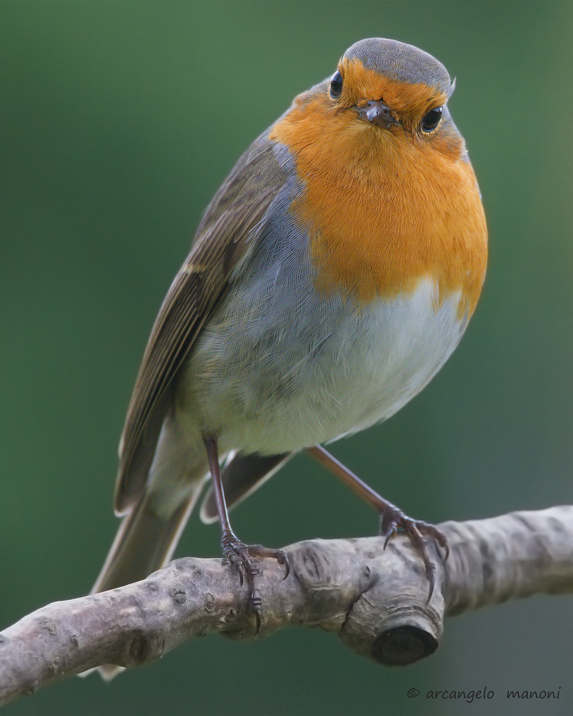 When Robin points at you