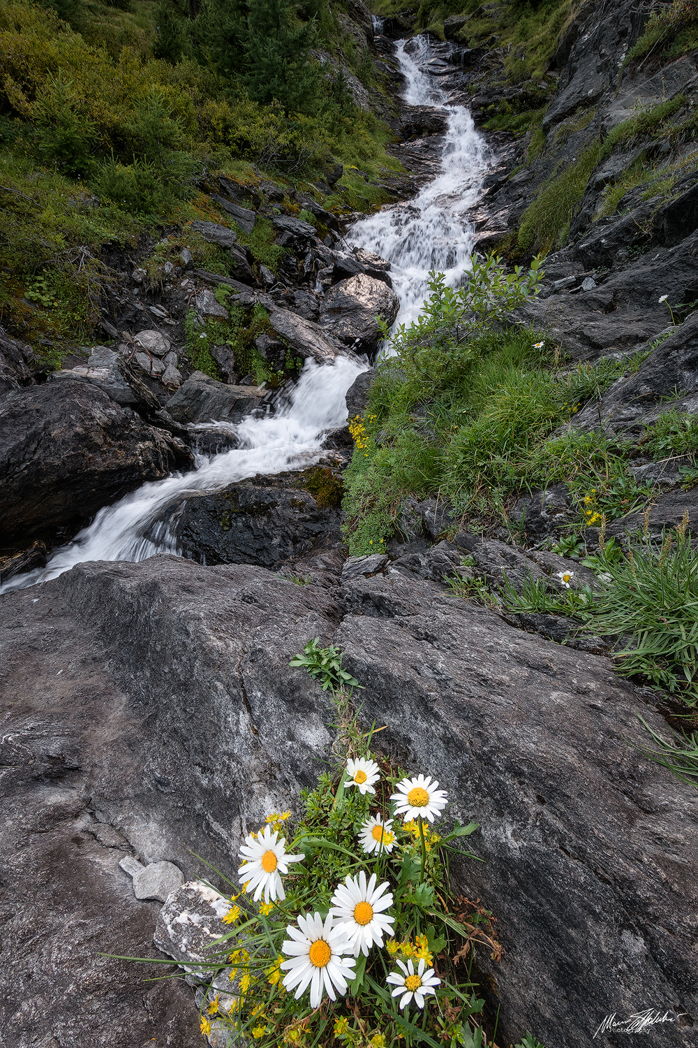 Scorci in Valle Argentera