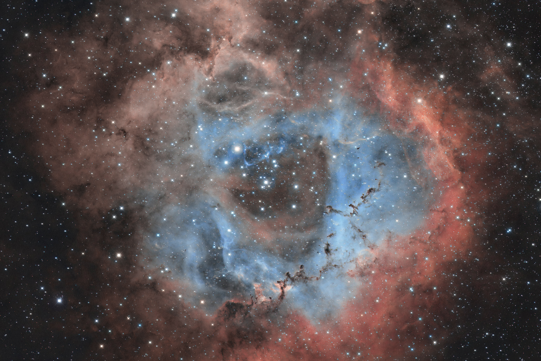 Rosetta Nebula NGC2237