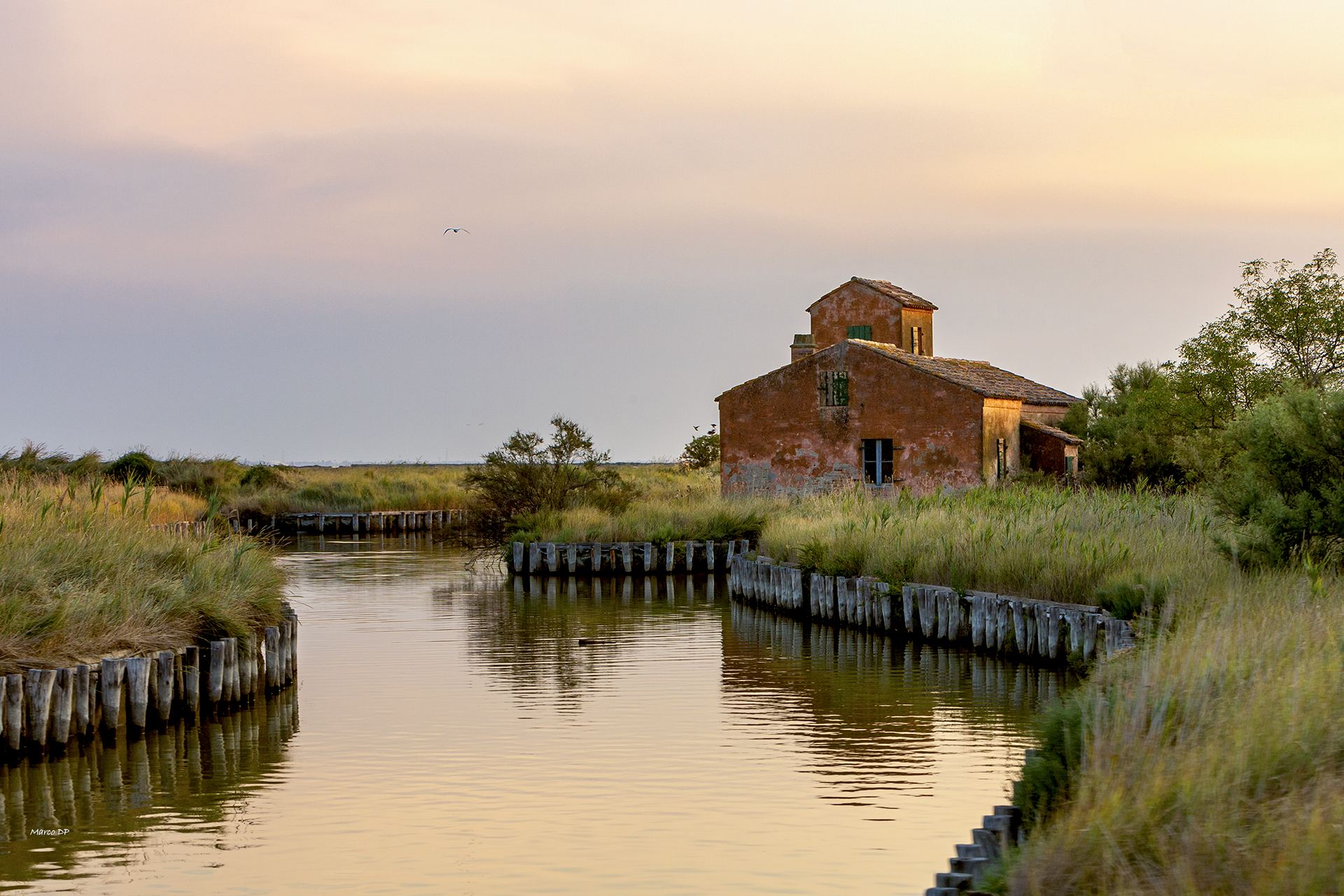 On the Po. the Delta