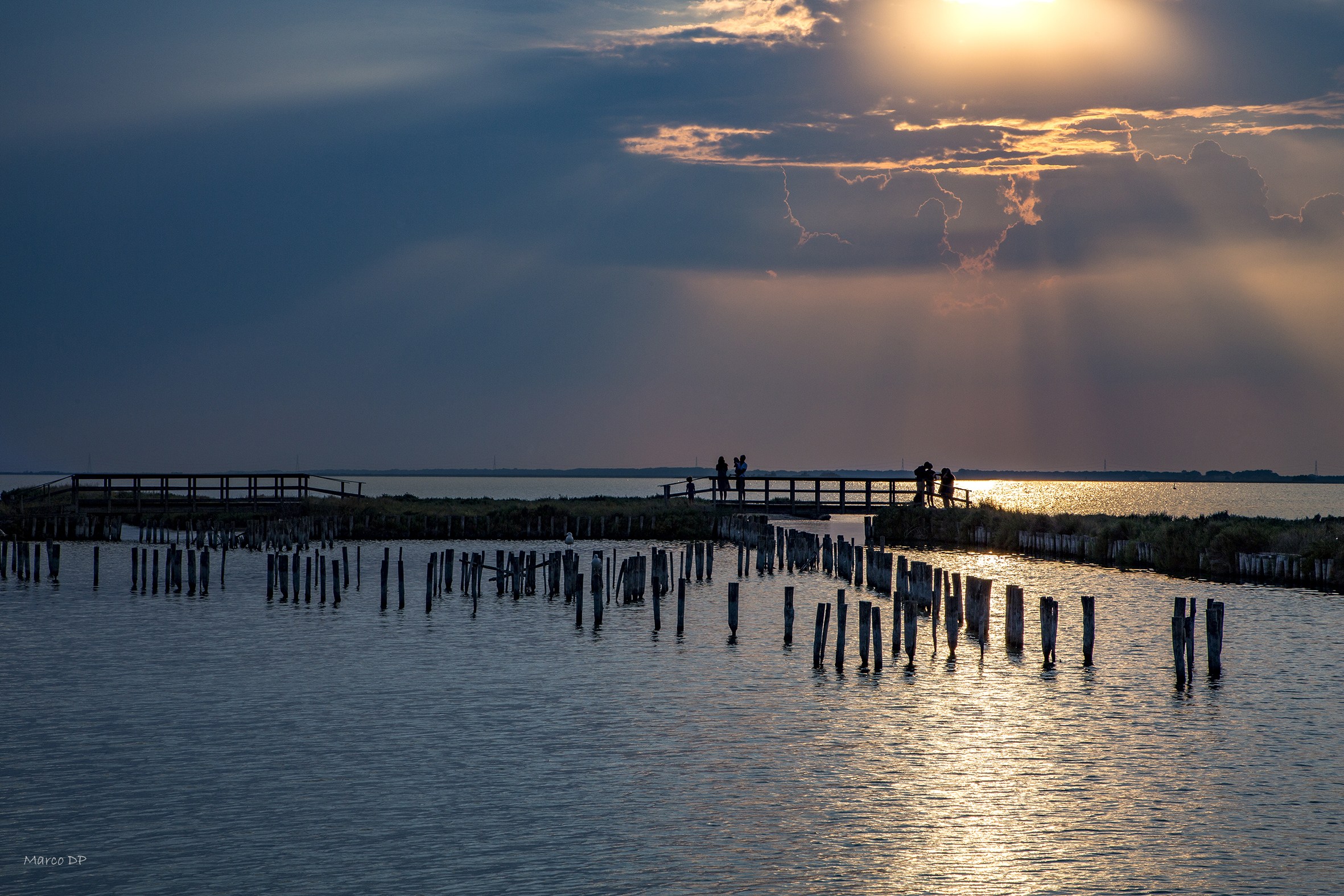 On the Po. the Delta