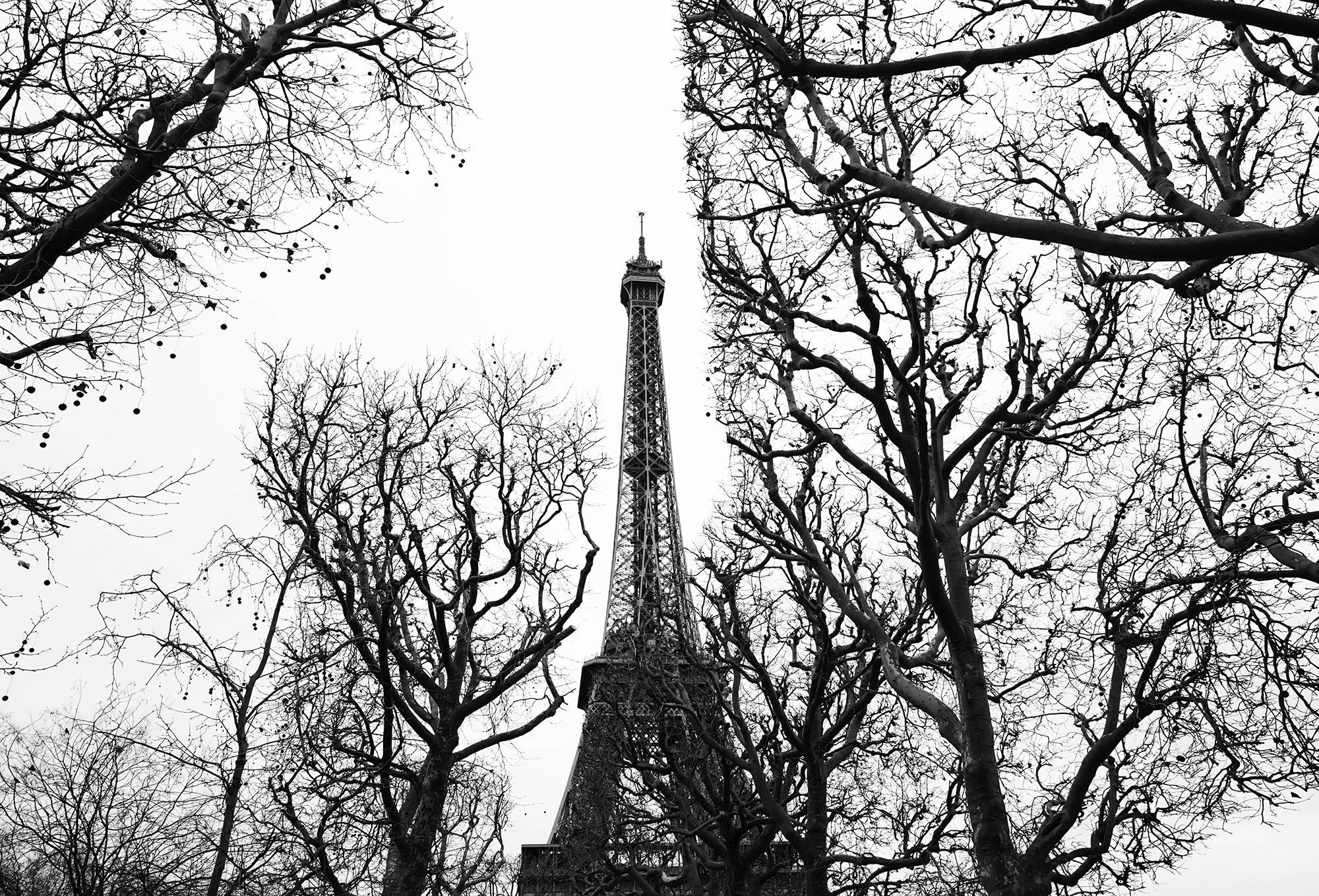 Eiffel Tower 2