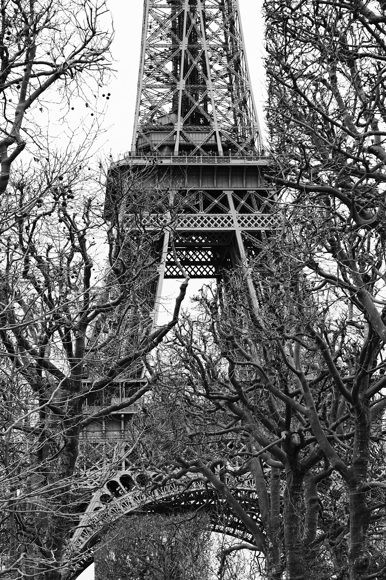 Eiffel Tour 3