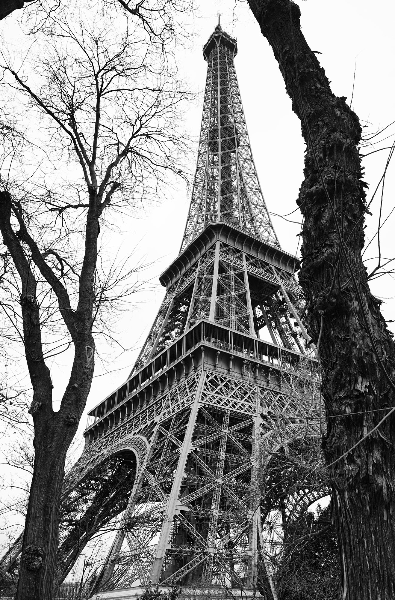 Eiffel Tower 4
