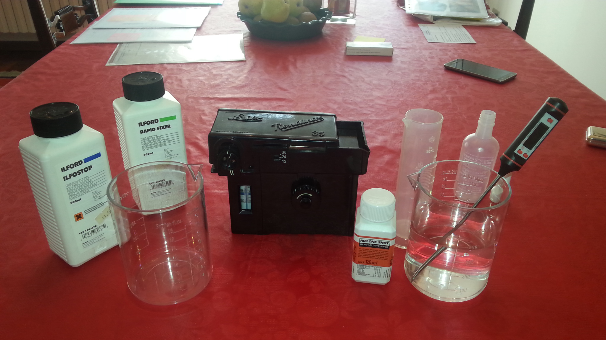 Leica 1a , home development