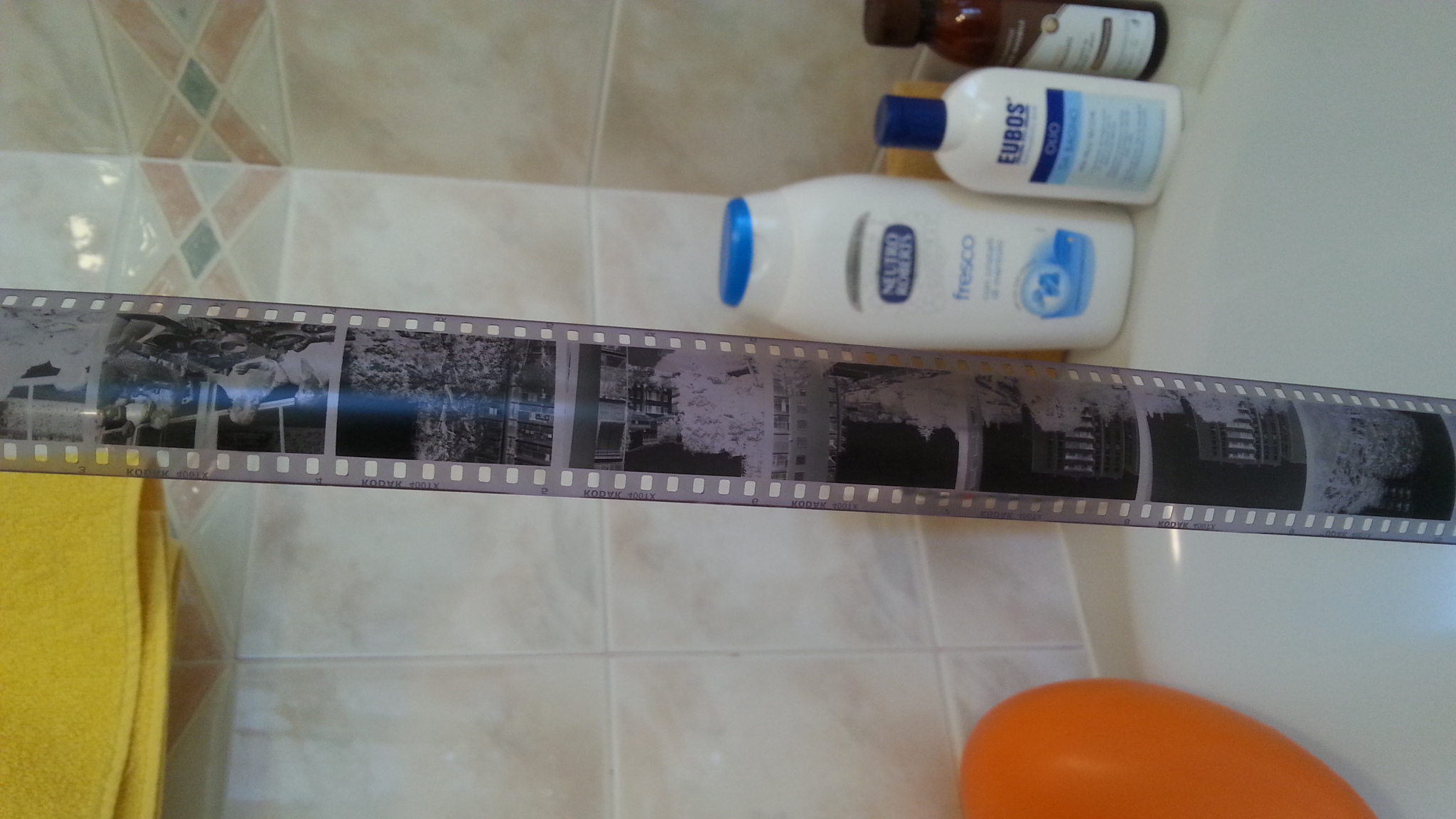 negatives obtained Kodak Tri-X