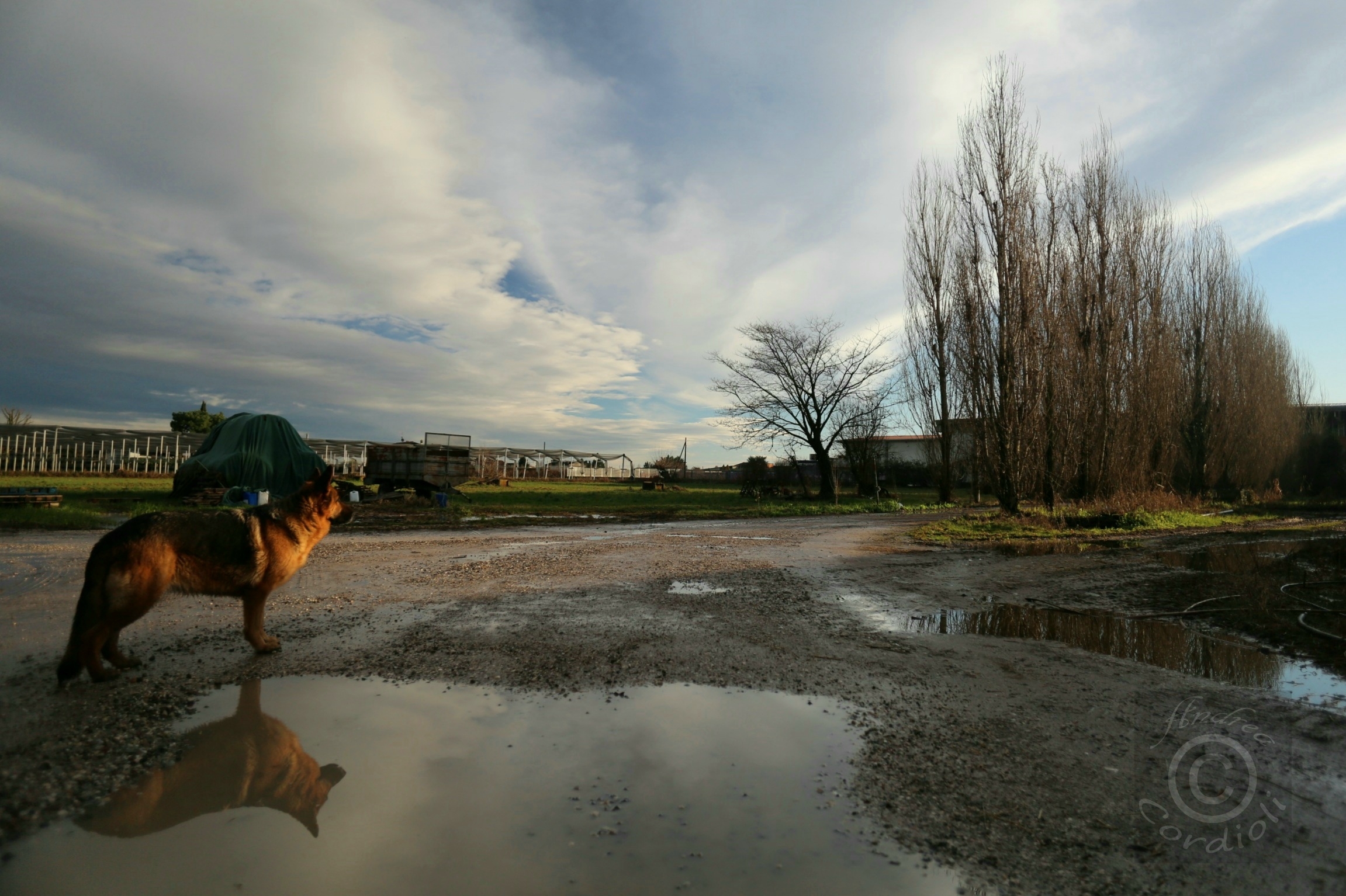 riflessioni