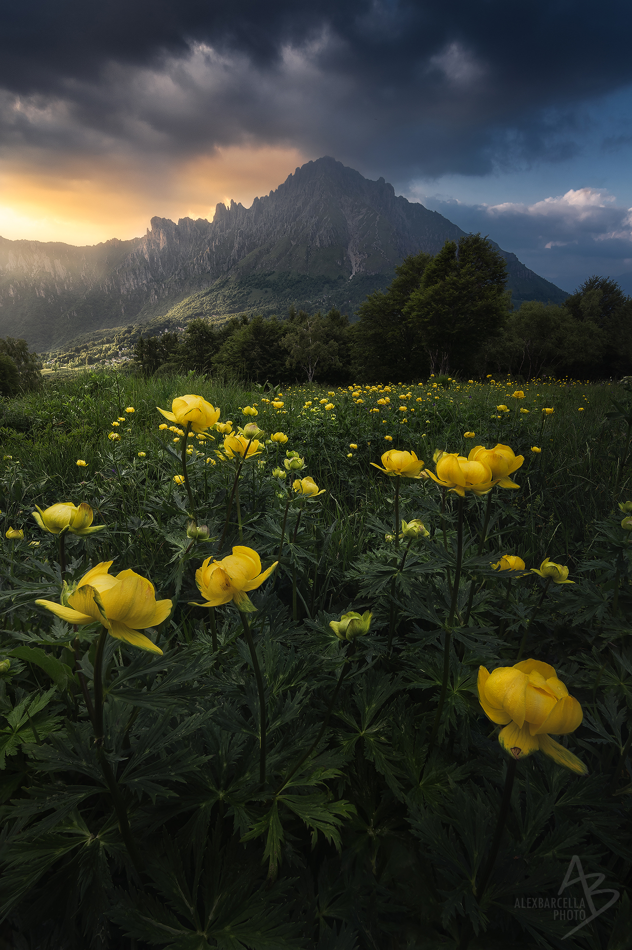 Between light and shadow