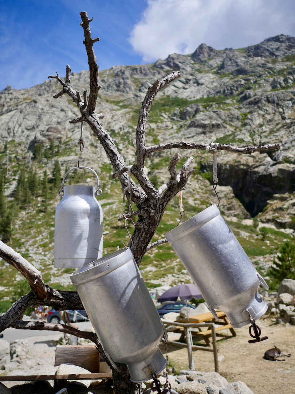 Gorges de la Restonica, Bergerie di Grotelle