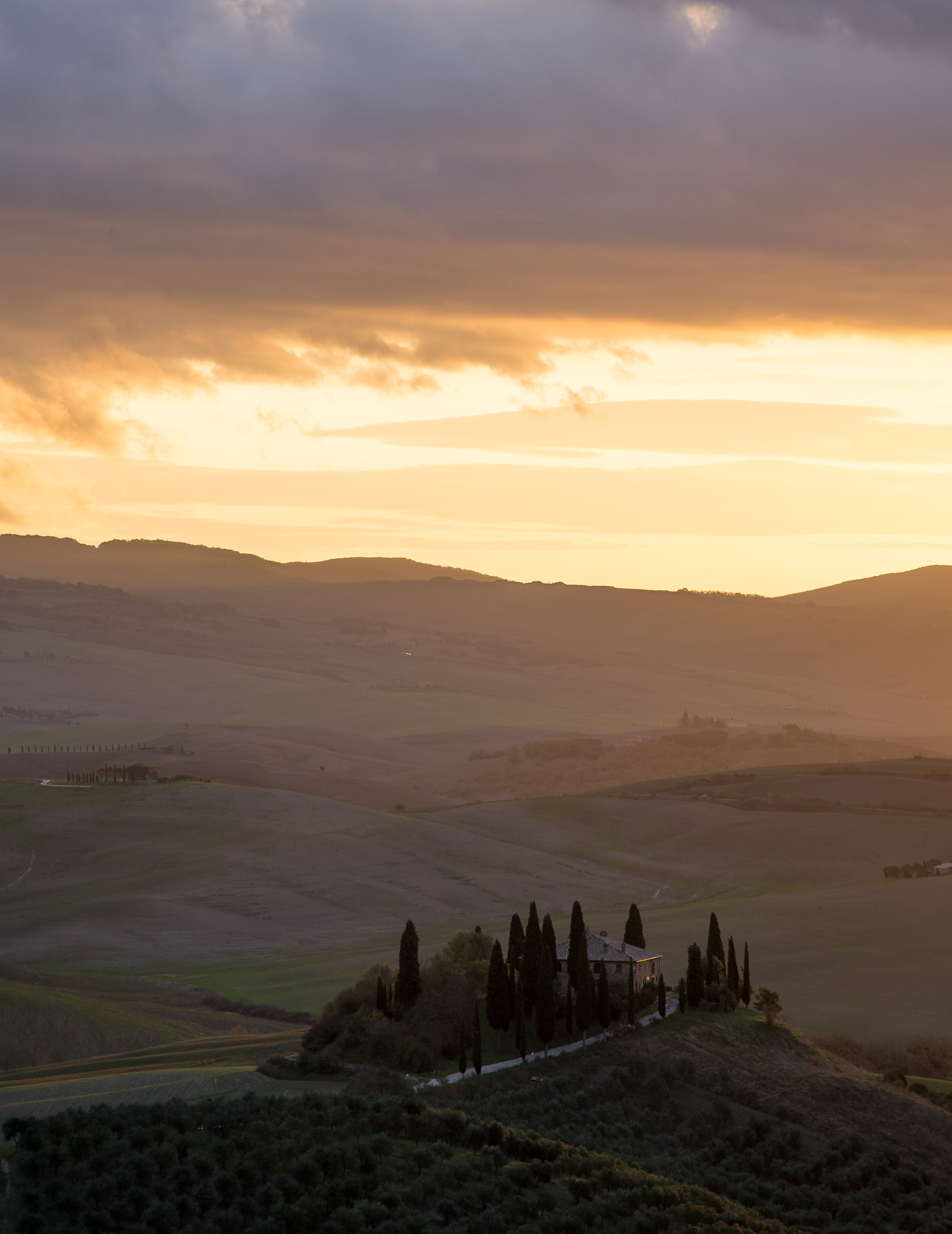 The morning light, in autumn