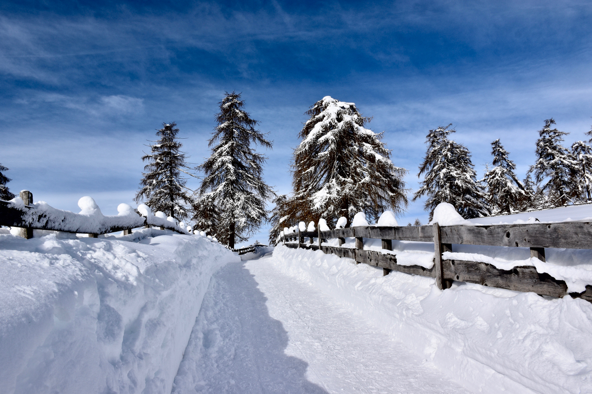 Altopiano del Salto - Alto Adige