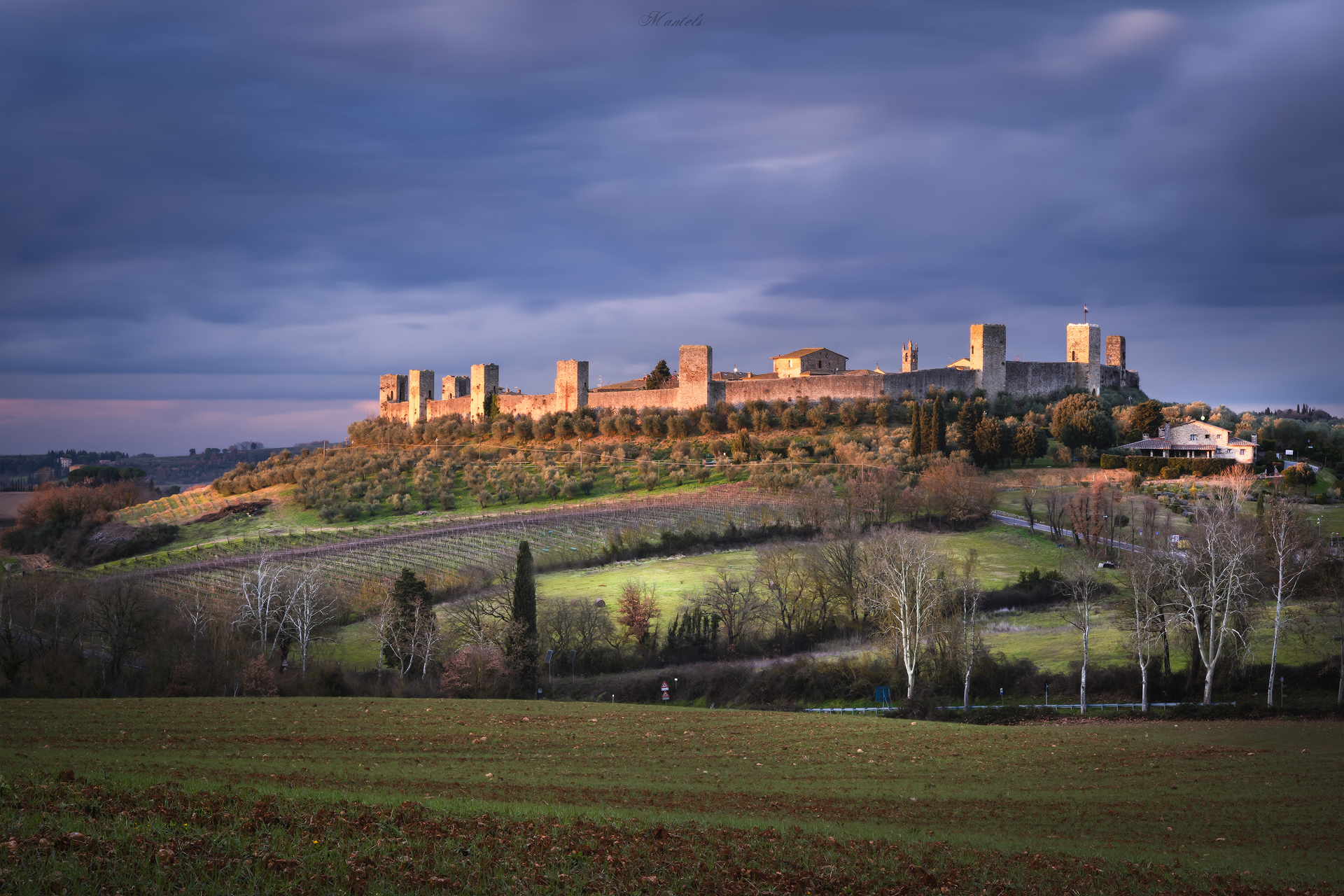 Domain and surveillance of the Francigena