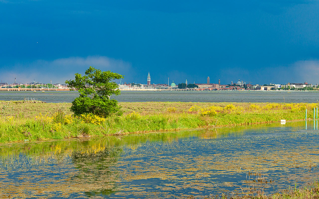 Venezia e la sua laguna