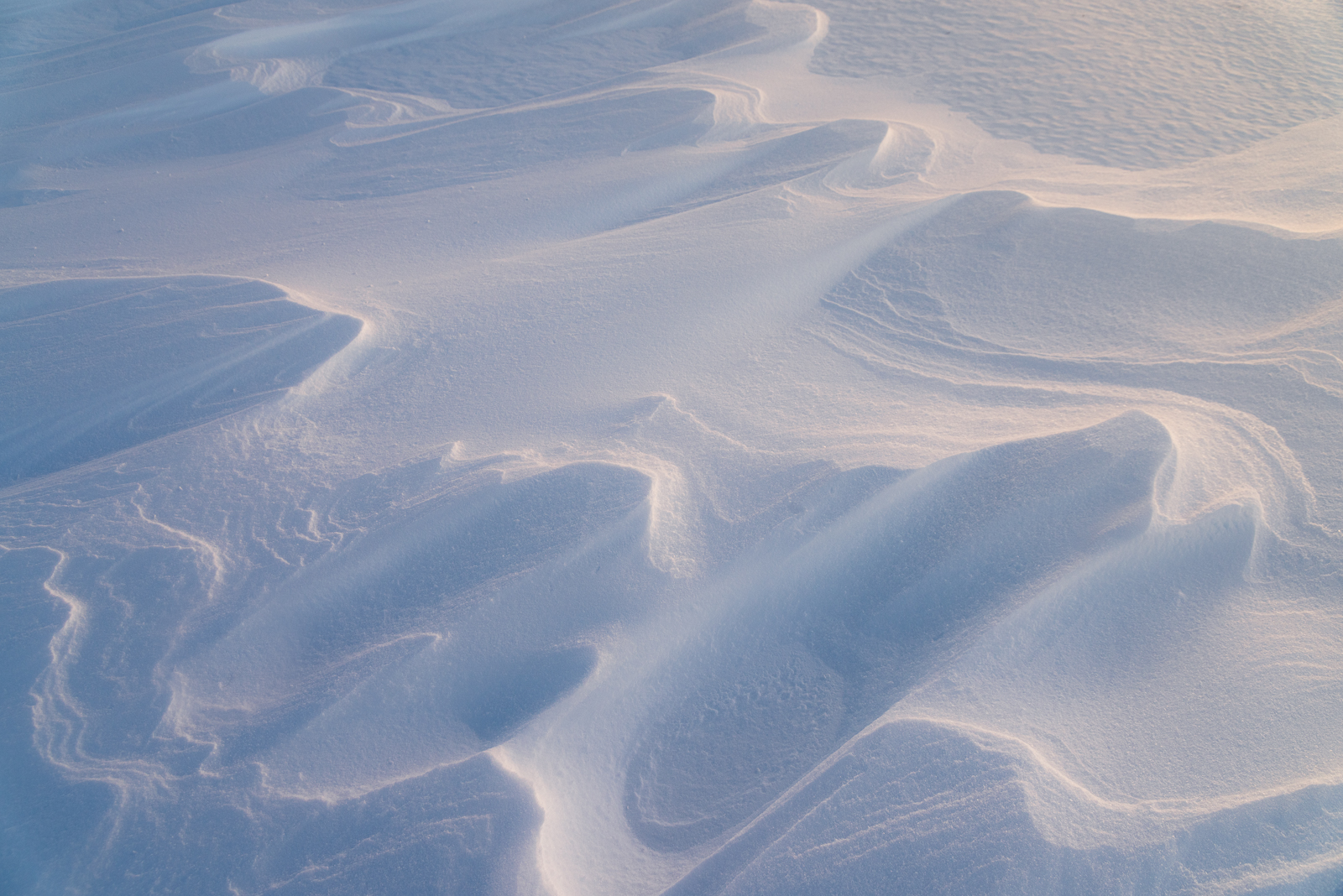 Frozen Cream