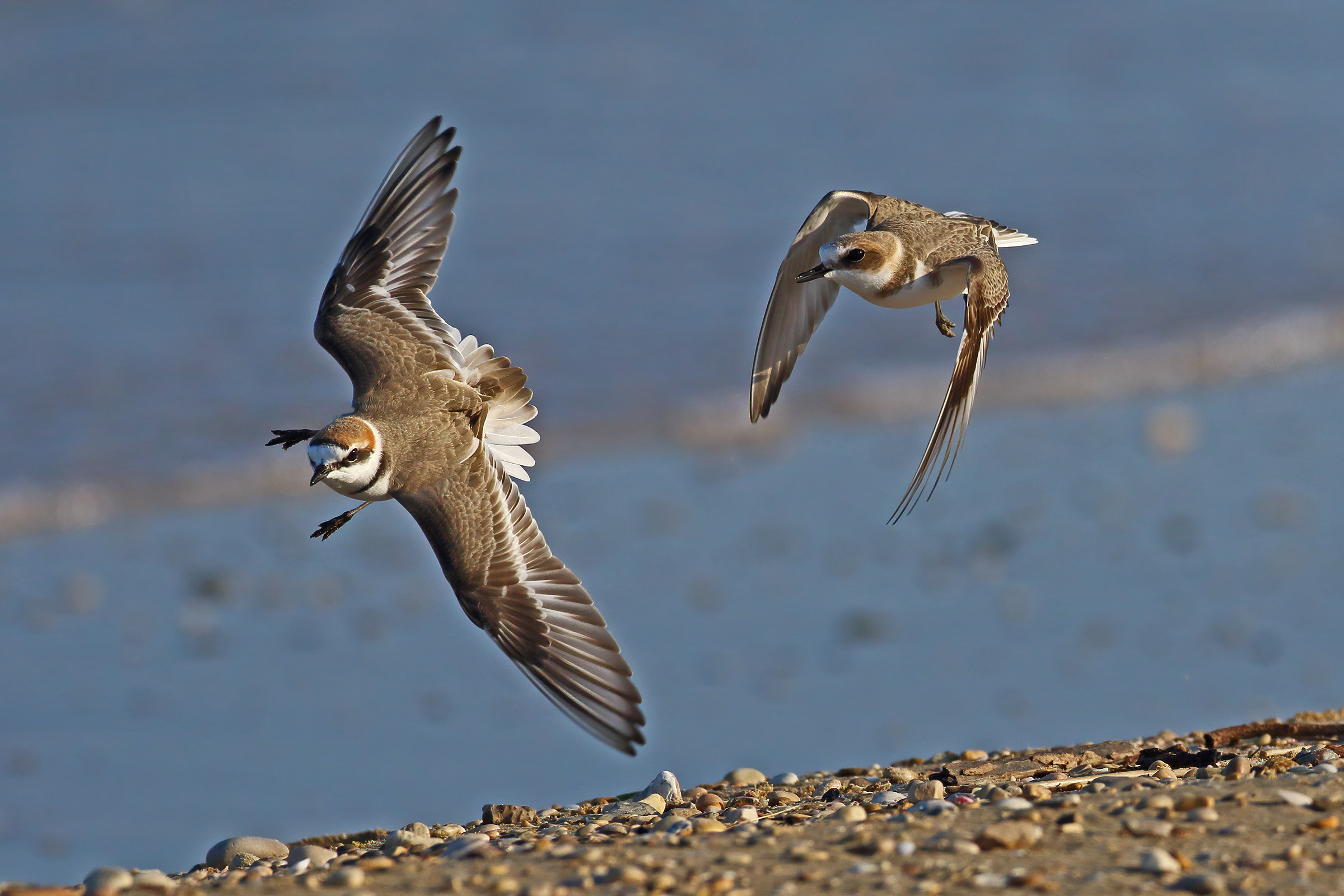 escape after the battle