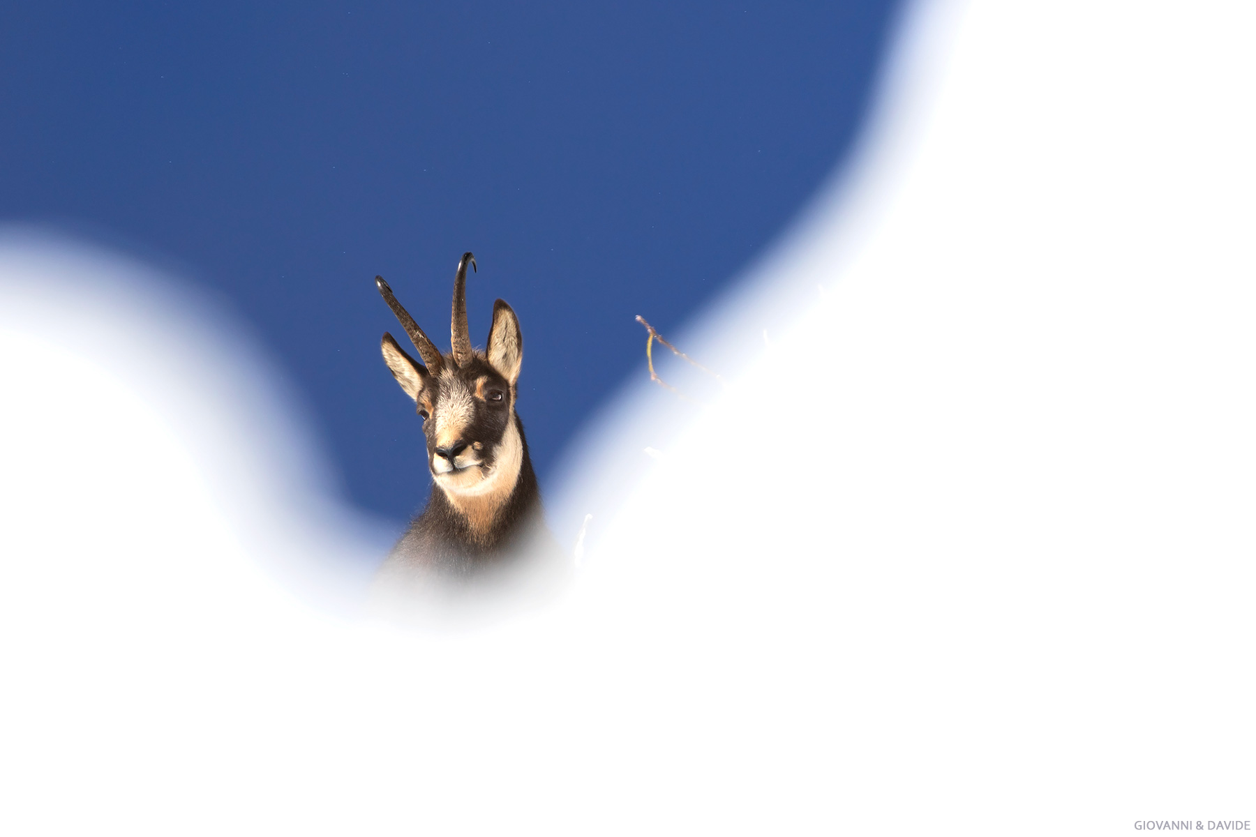 ...Lassù tra cielo e neve...