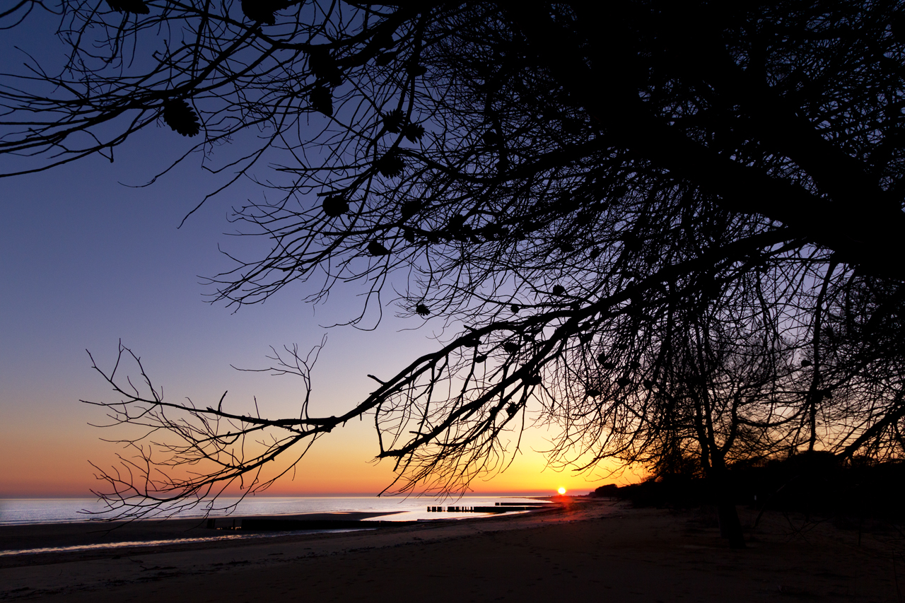 ...e un altro giorno se ne va'