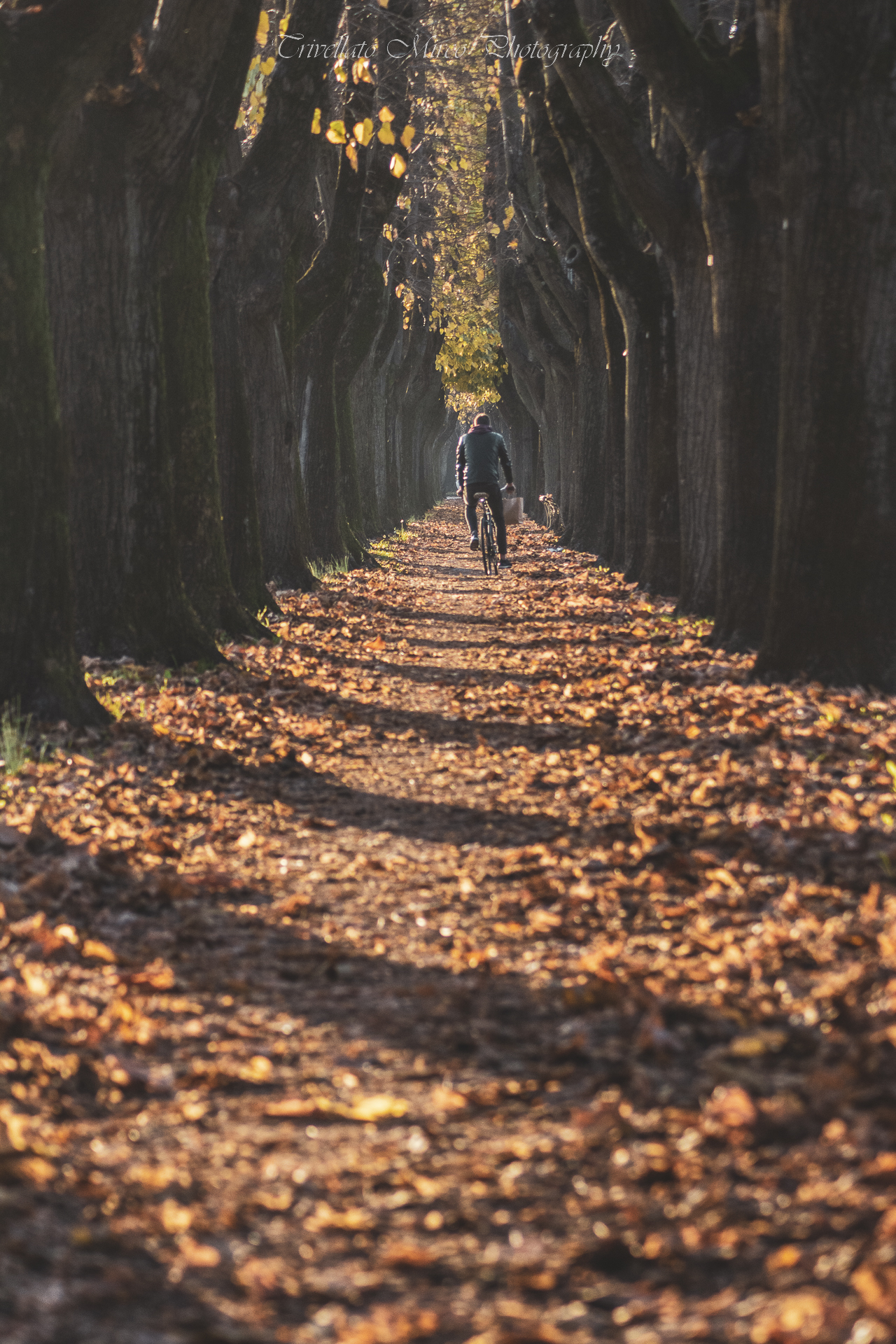 Lucca